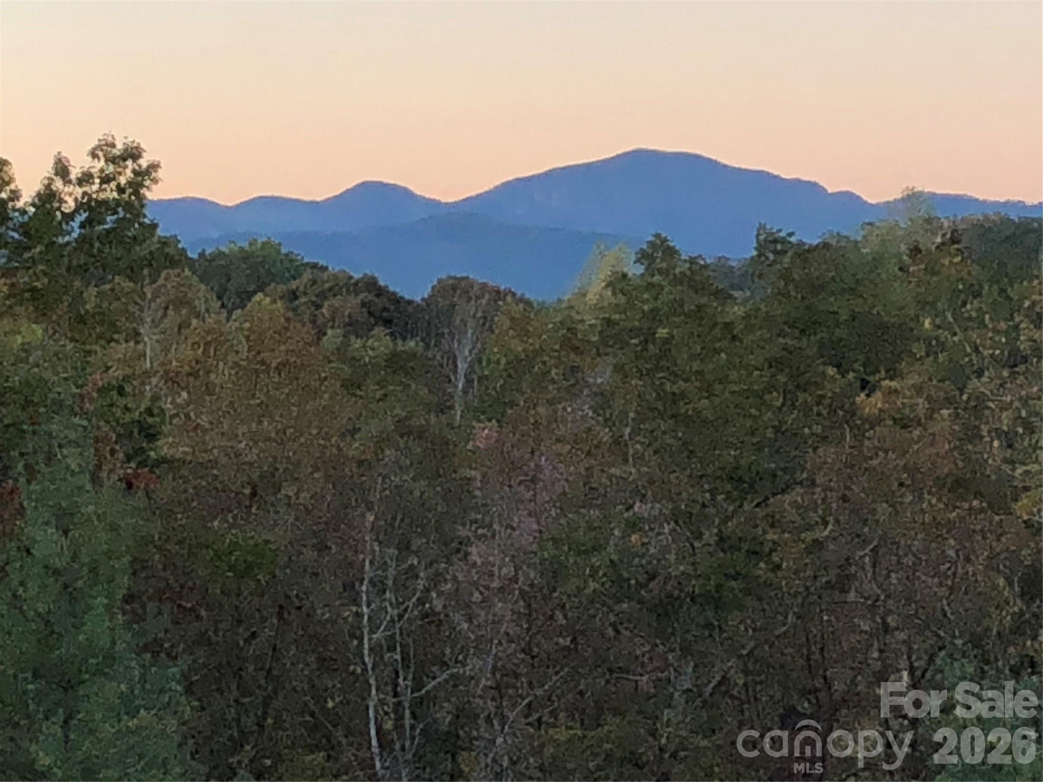 250 Burt Blackwell Road — Mill Spring