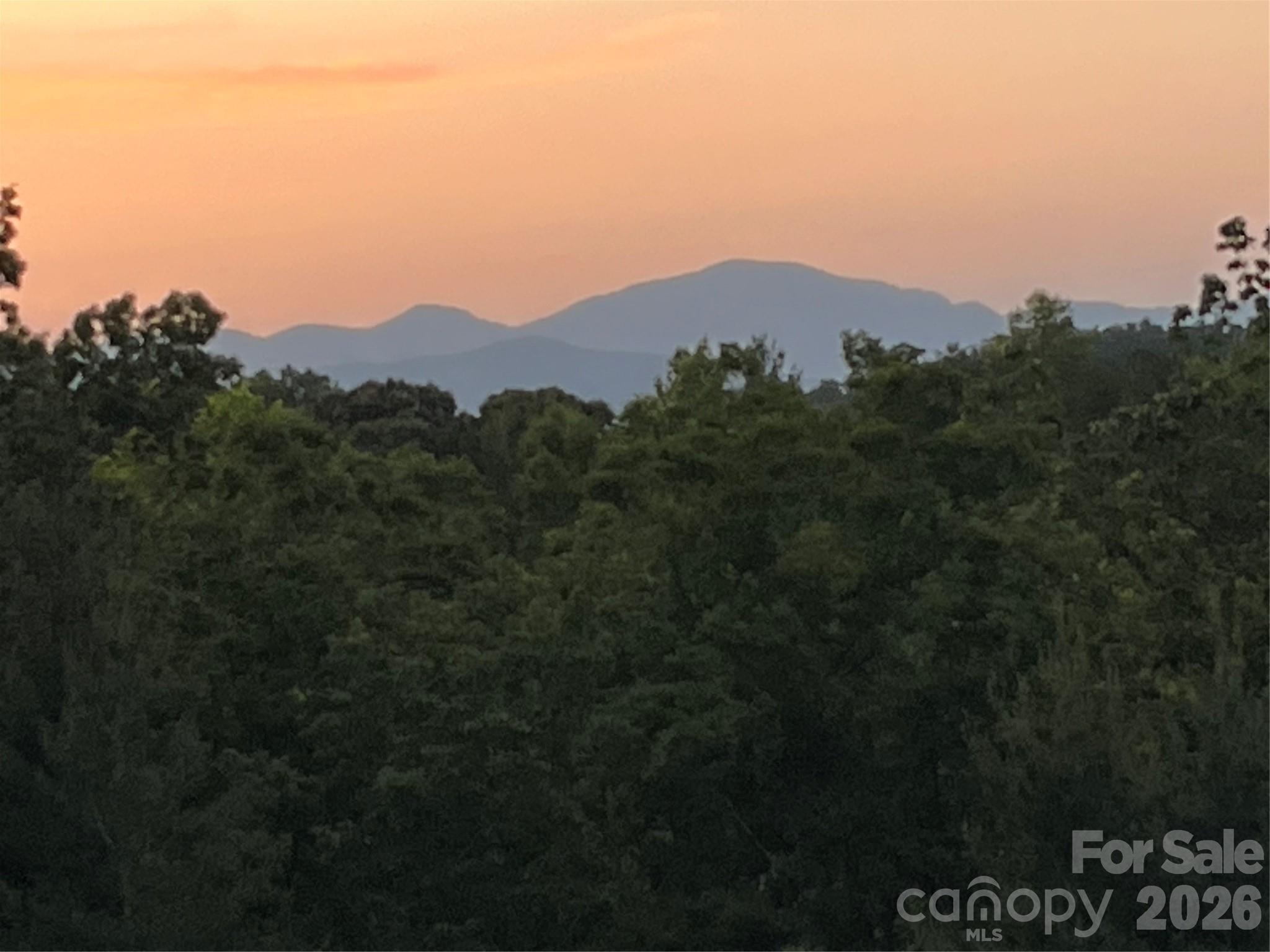 250 Burt Blackwell Road — Mill Spring