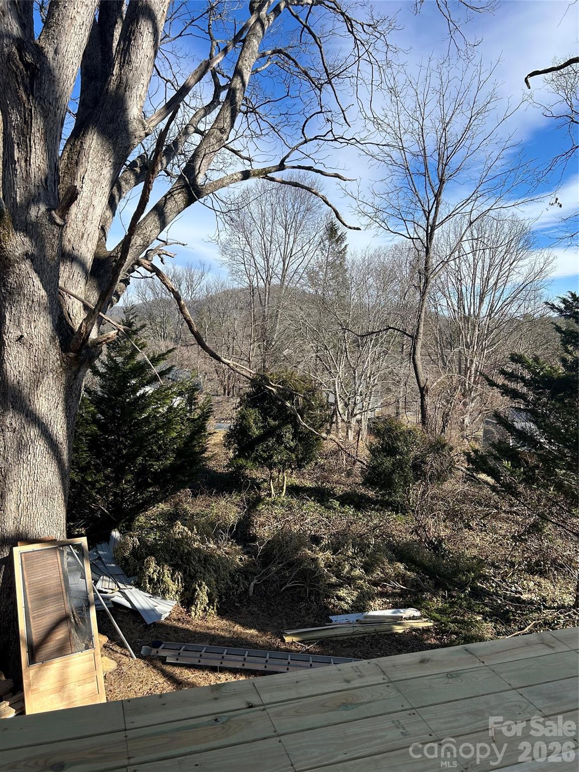 16 Mallory Lane — Arden