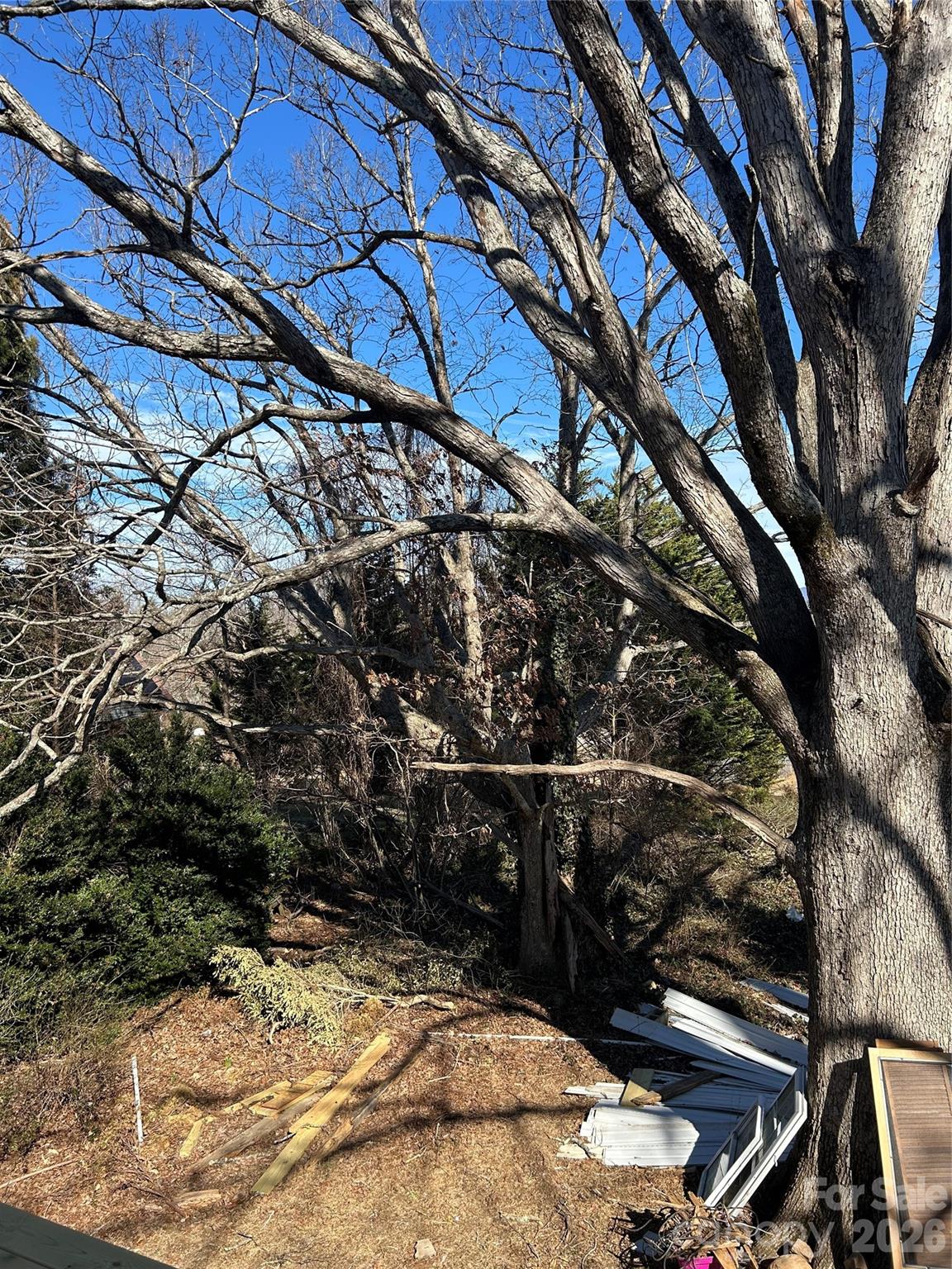 16 Mallory Lane — Arden