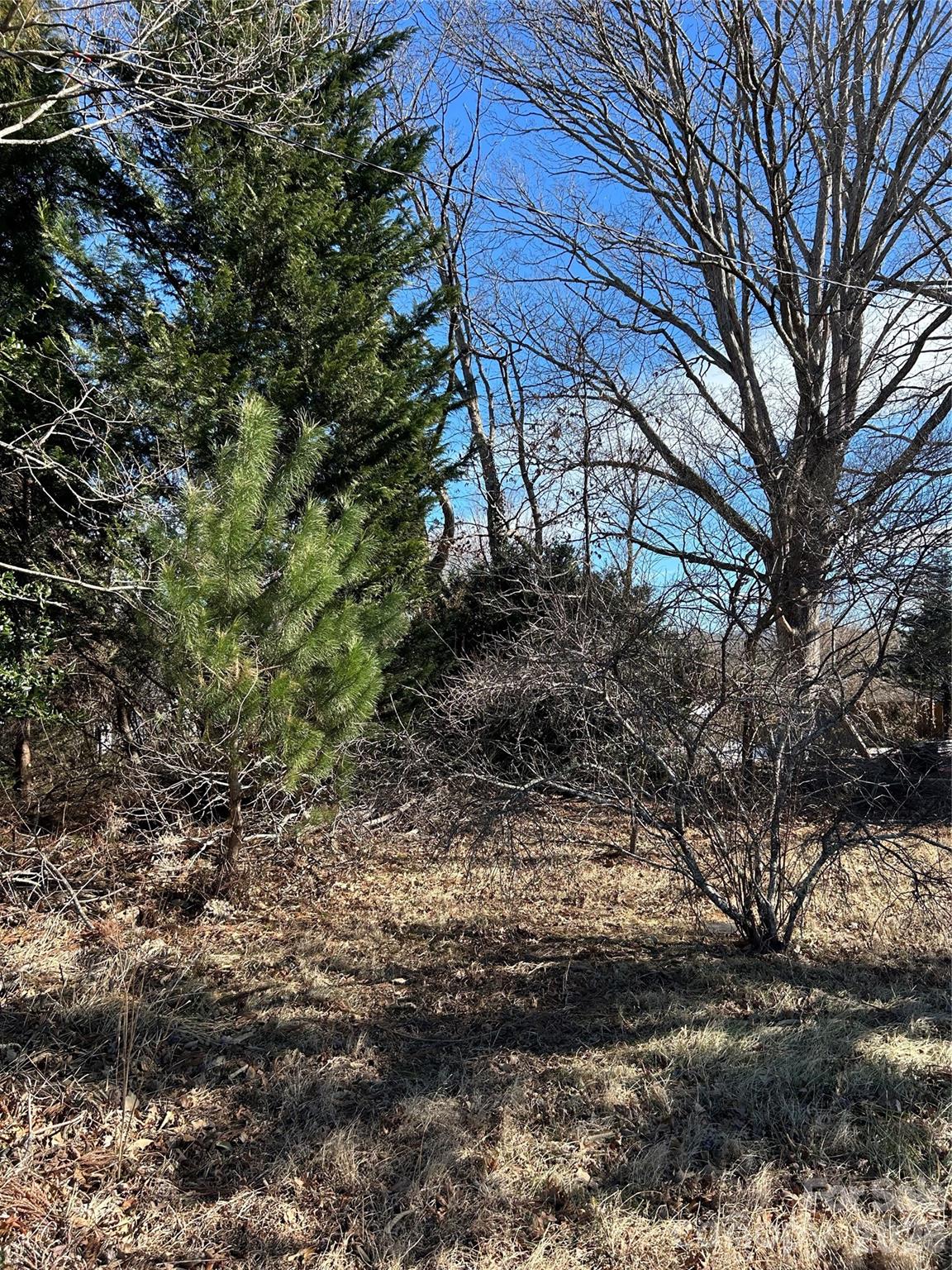 16 Mallory Lane — Arden