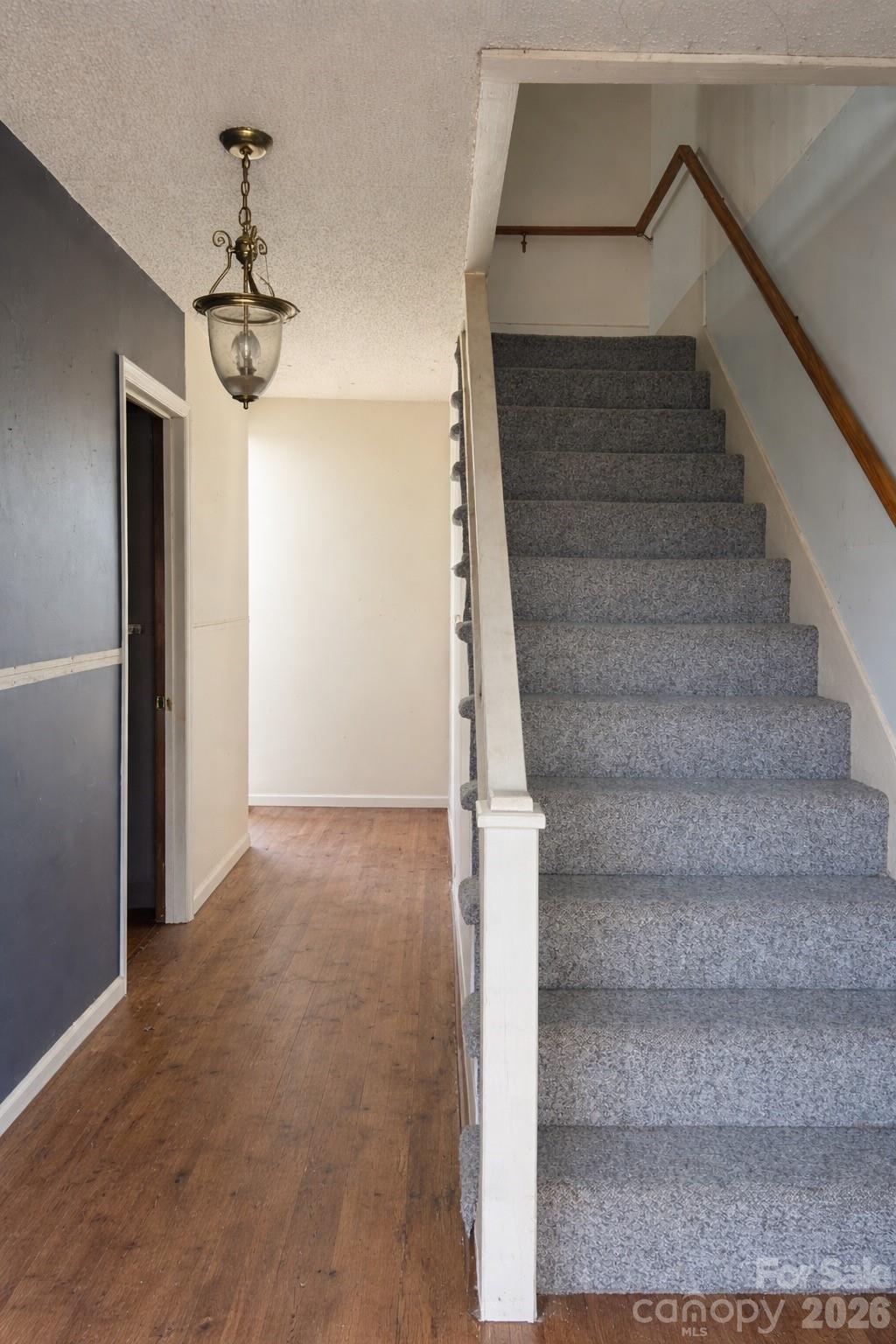16 Mallory Lane — Arden