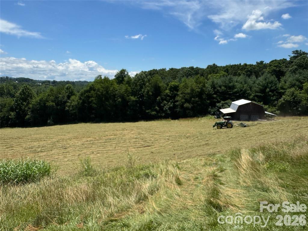598 Miles View Road — Mills River