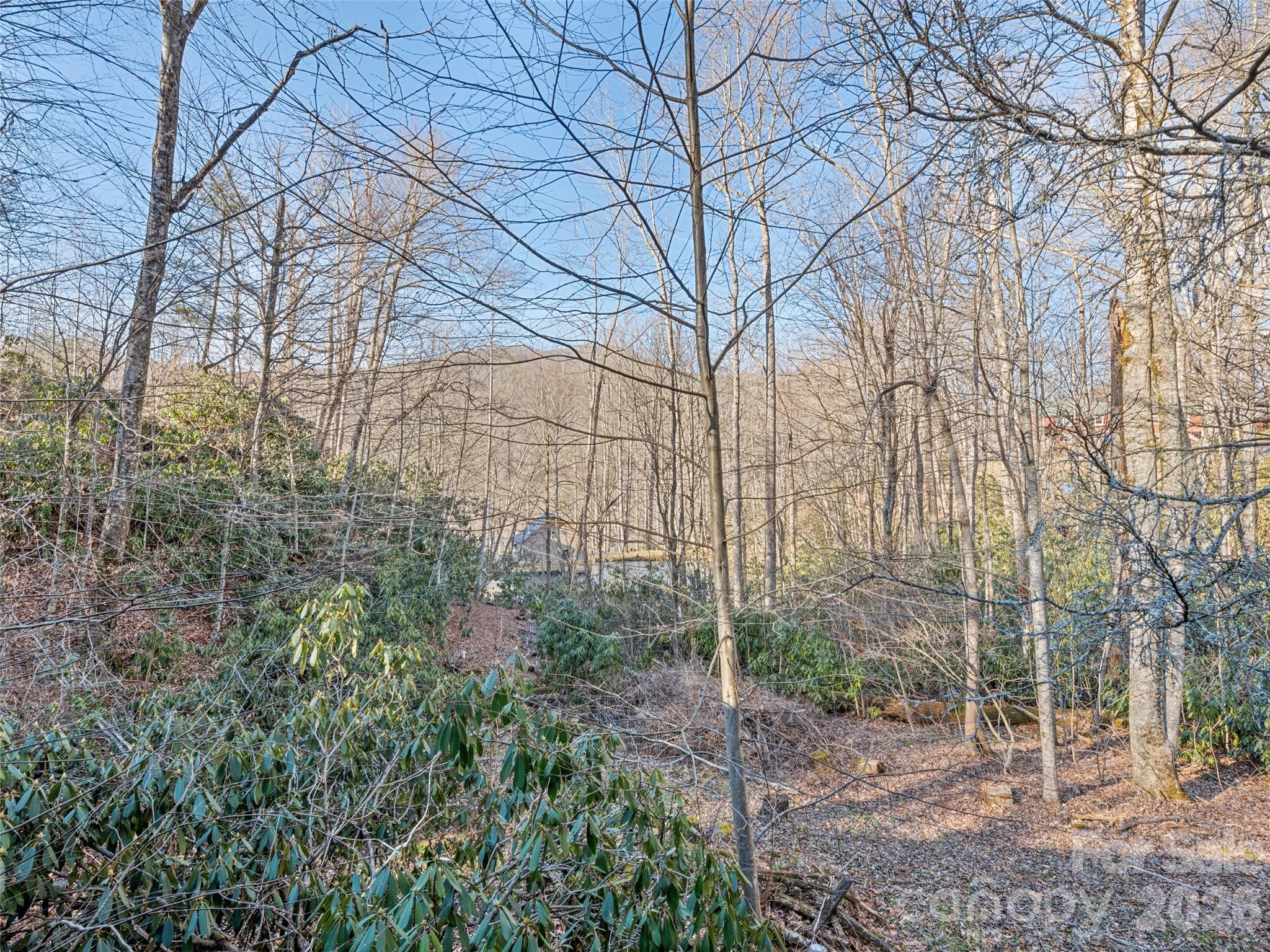 36 Mulberry Lane — Maggie Valley