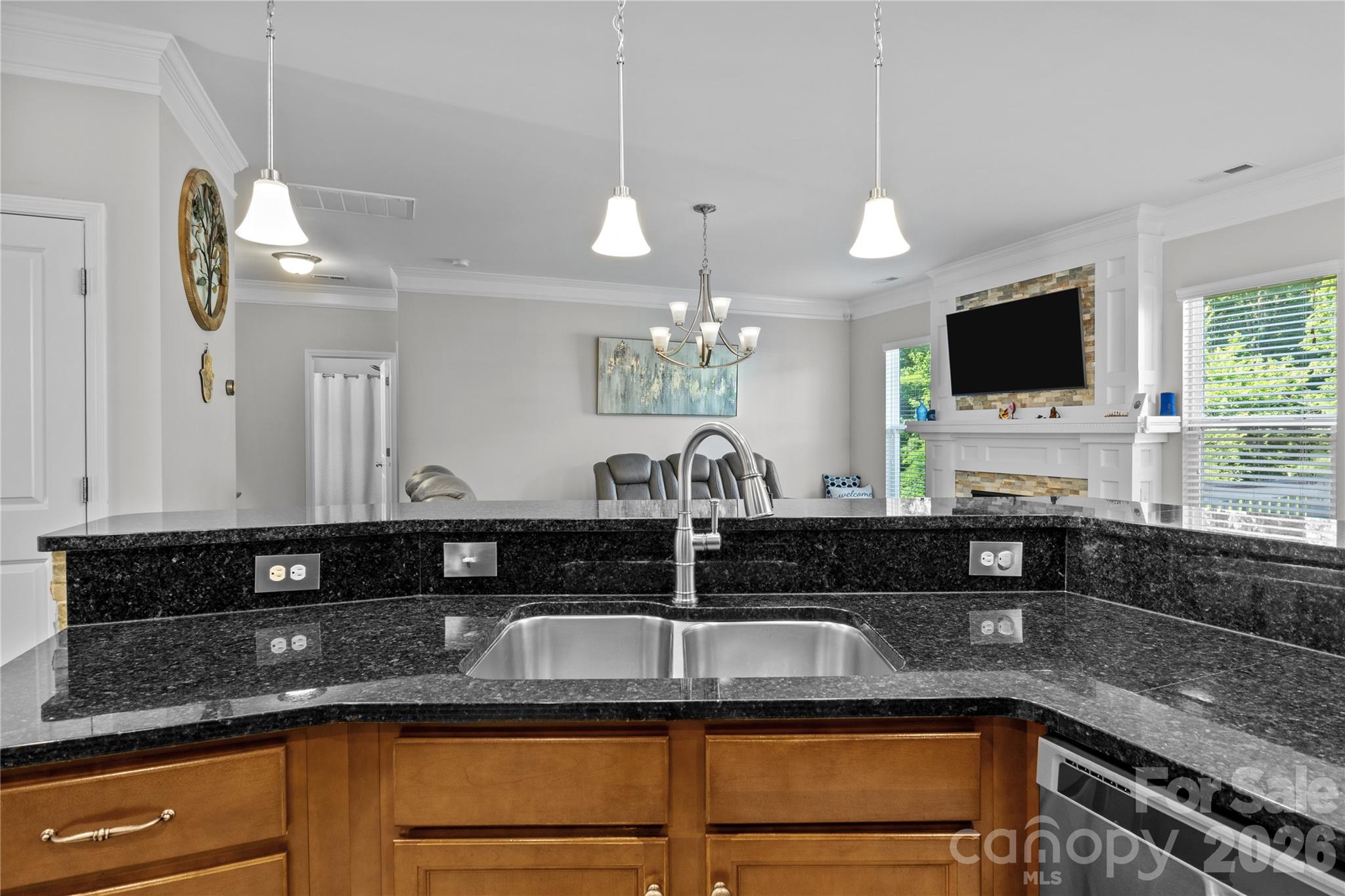 10621 Shanon Darby Lane — Charlotte