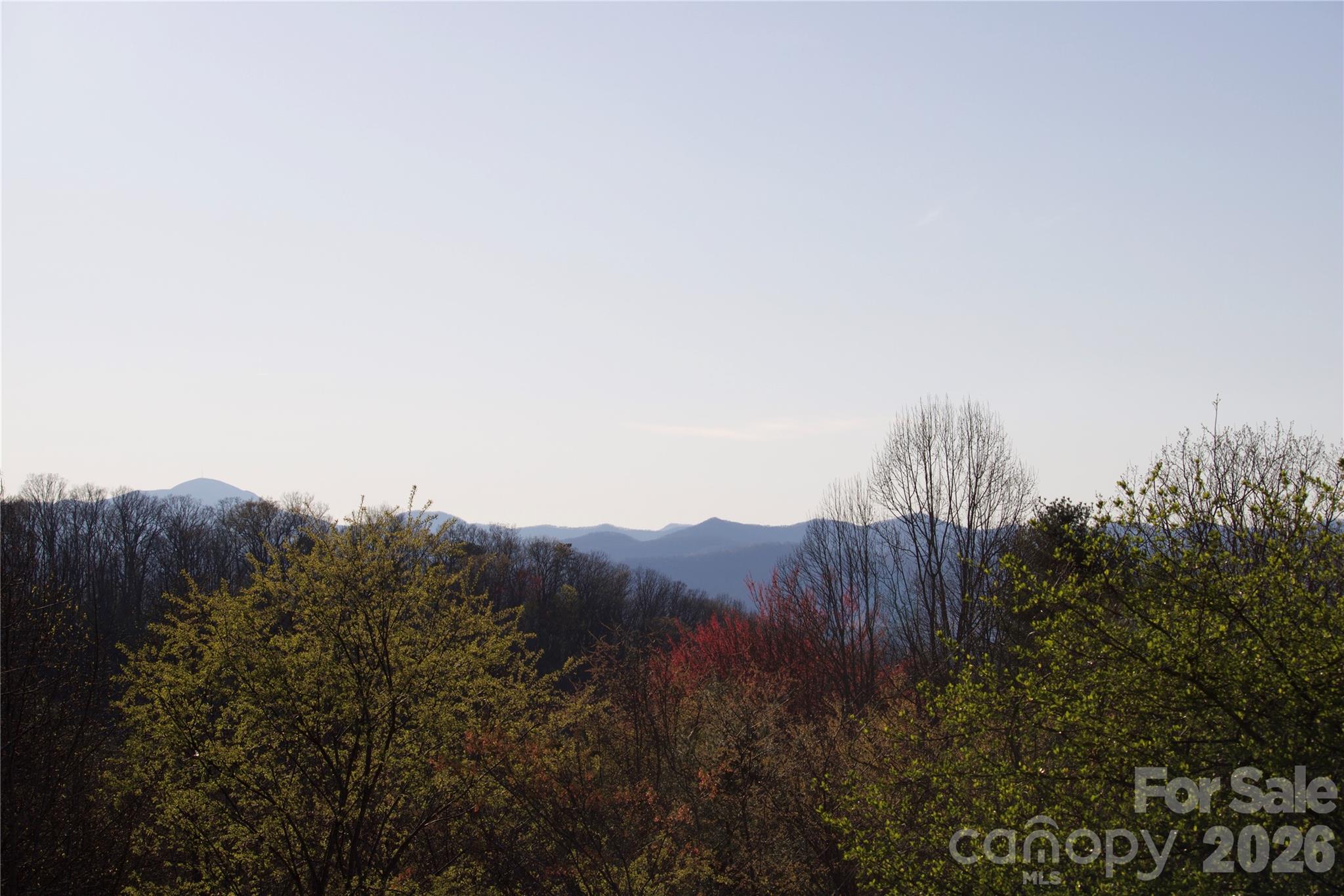 751 Hutch Mountain Road — Fletcher
