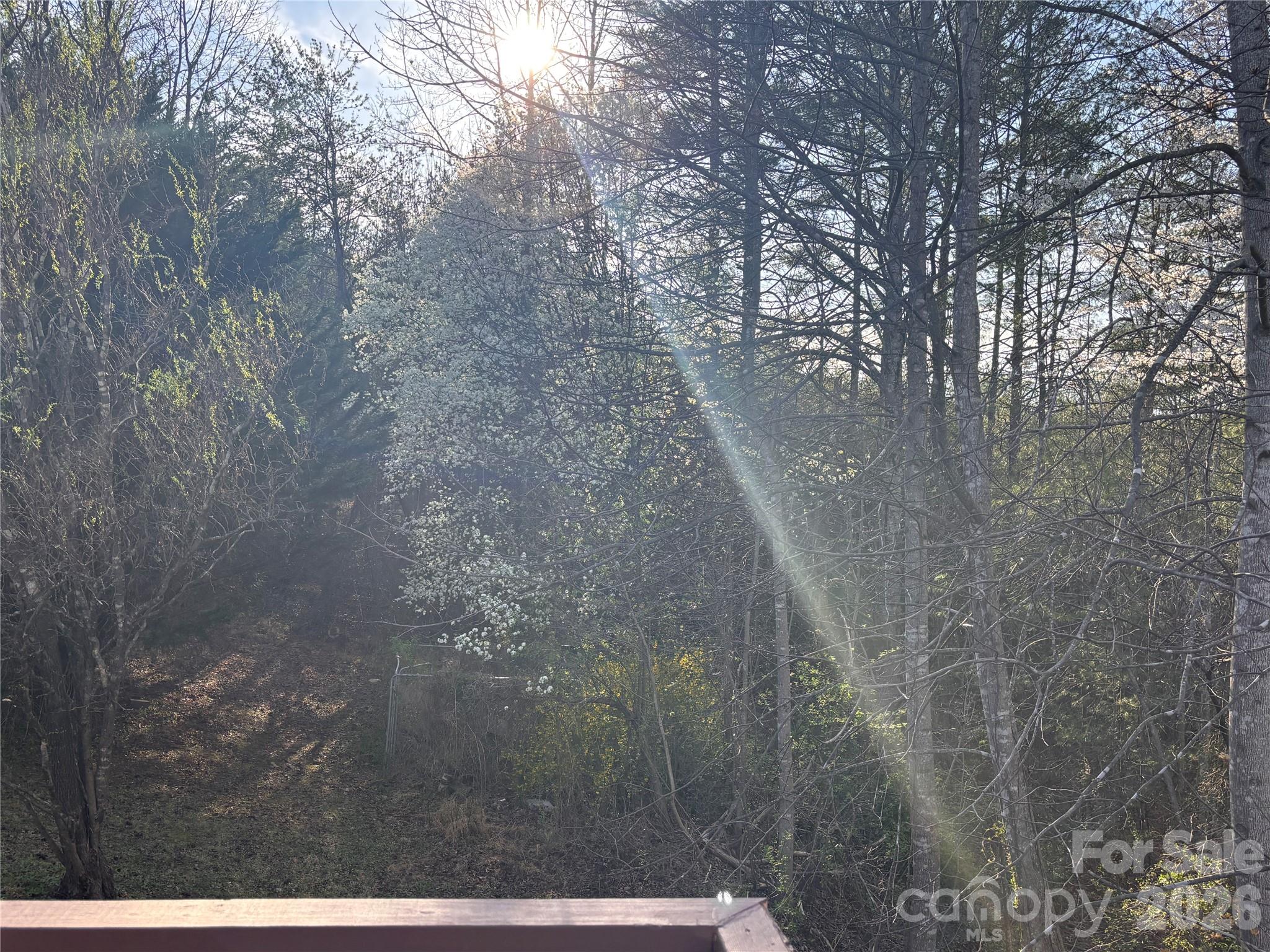 5164 Ralph Winchester Road — Lenoir