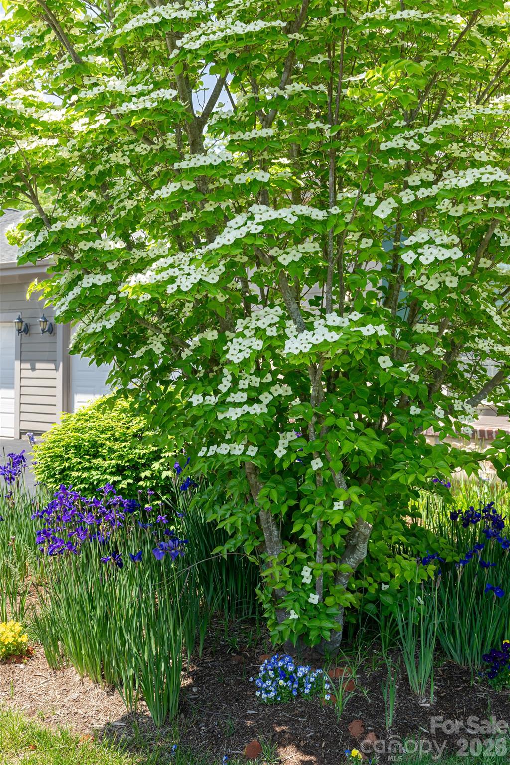 55 Outlook Circle — Swannanoa