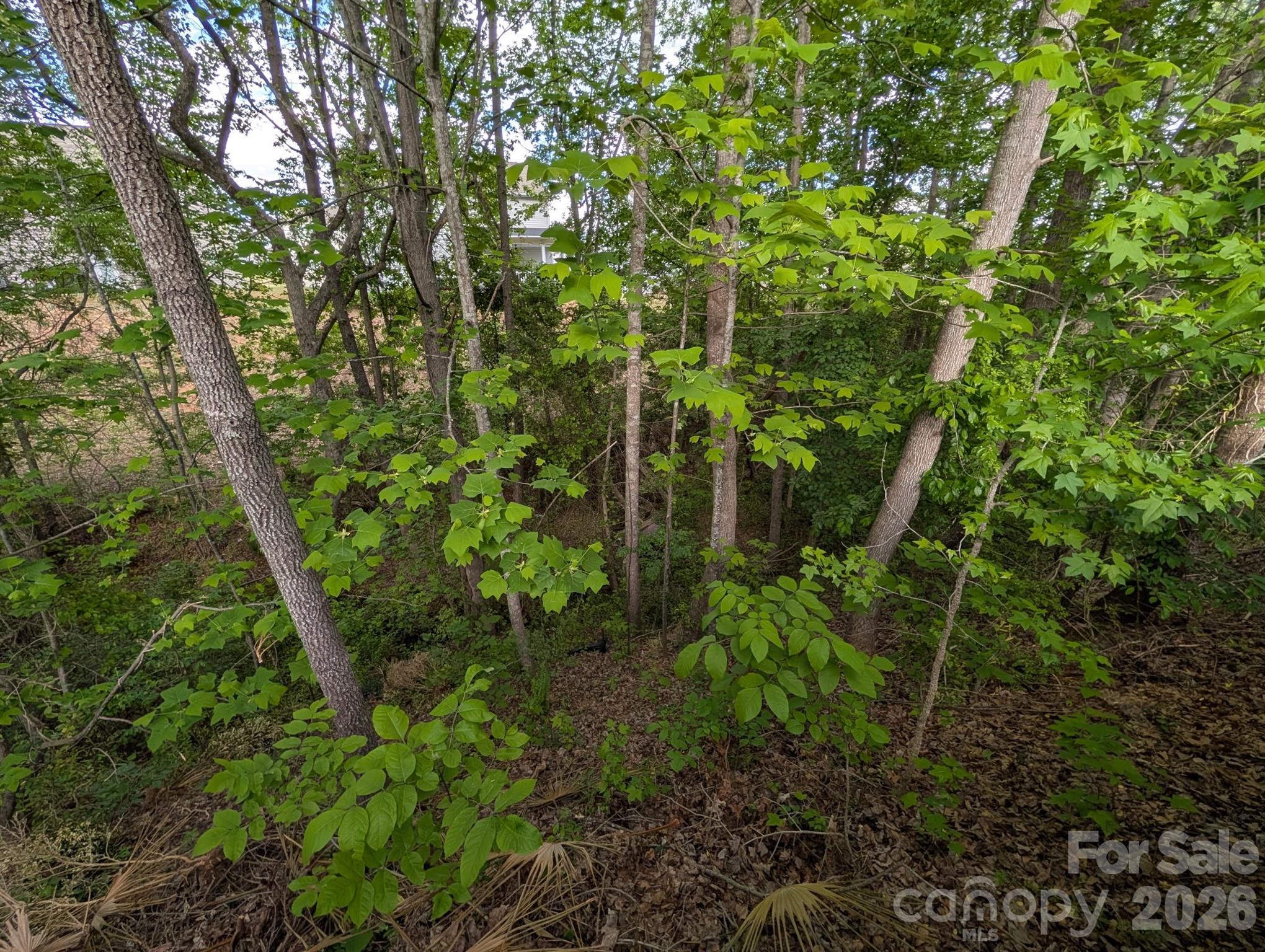 746 Ladino Lane — Clover