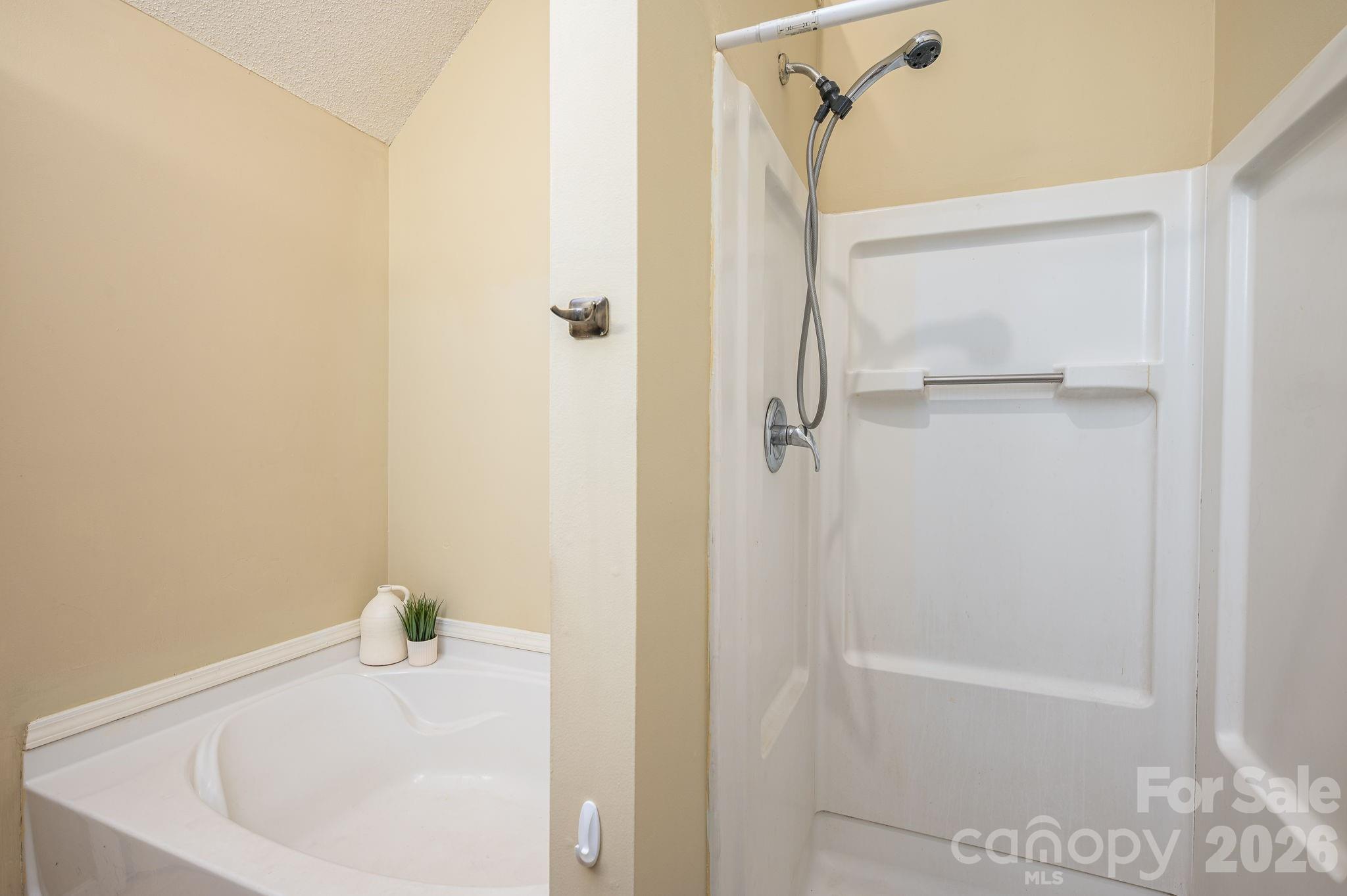 1434 Swaying Branch Lane — Clover