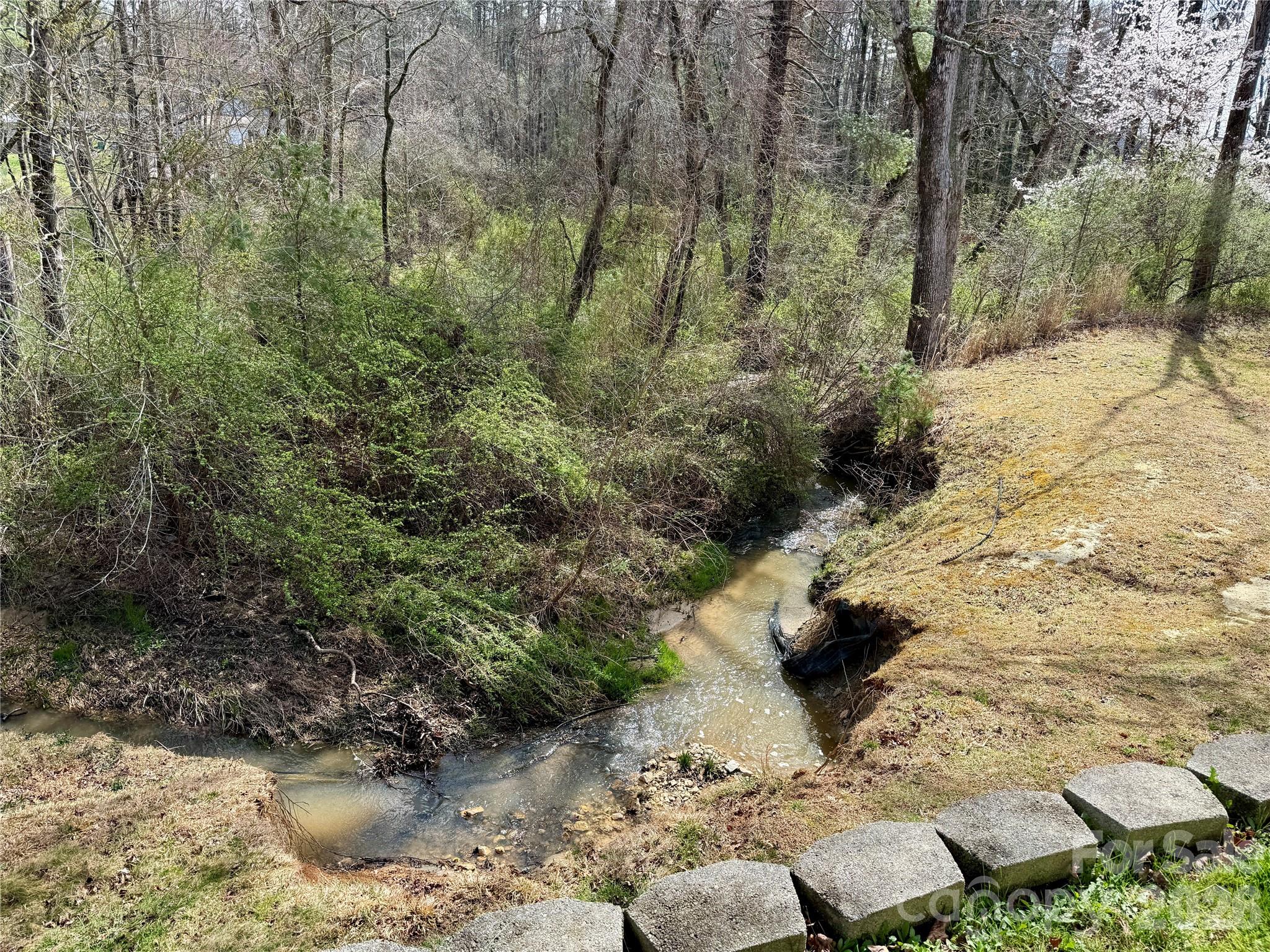 703 Olde Covington Way — Arden