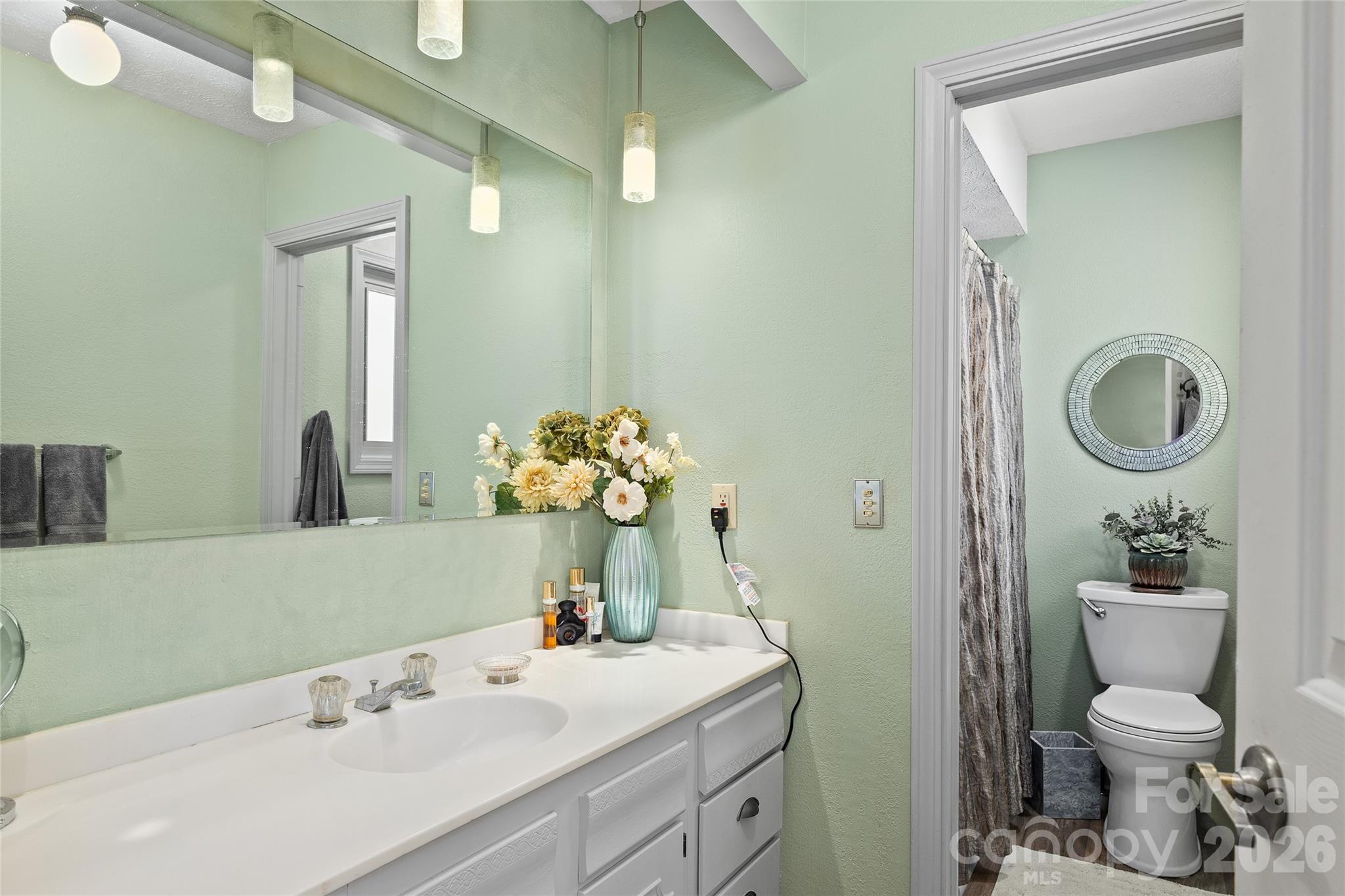 3017 Chestnut Tree Road — Hendersonville