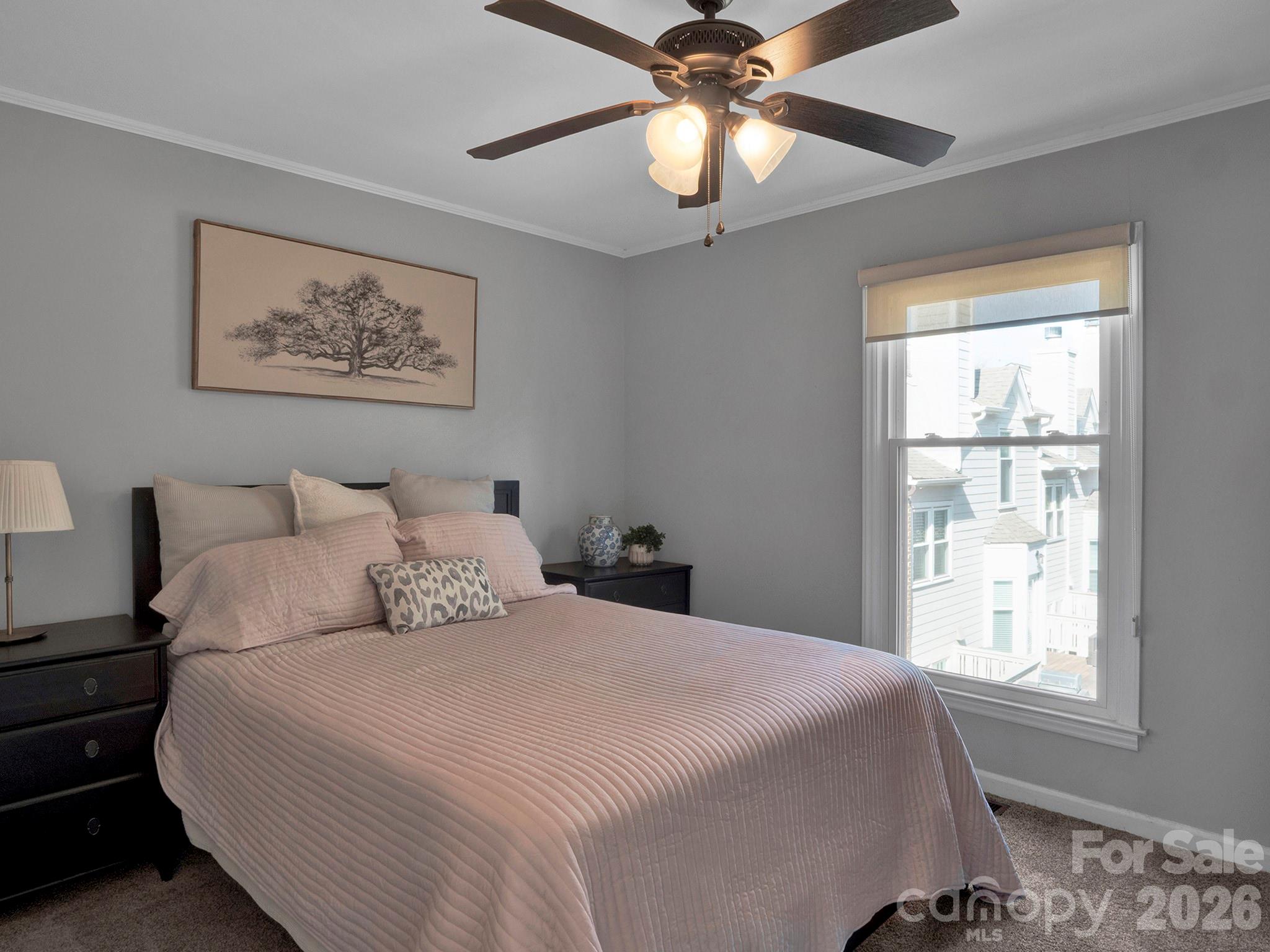 239 S Clarkson Street — Charlotte