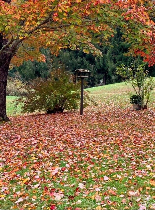 504 Greens Creek Road — Sylva