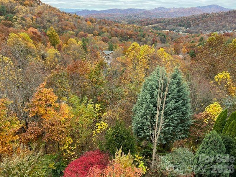 116 Dalya Road — Swannanoa
