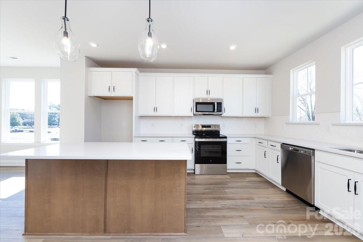 4623 Swan Meadow Lane — Charlotte