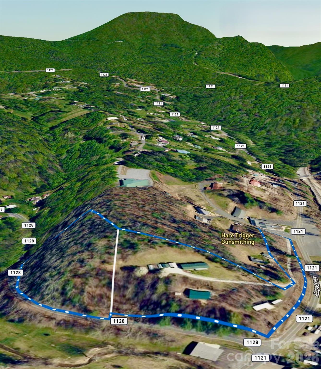 3 Altapass Trail — Spruce Pine