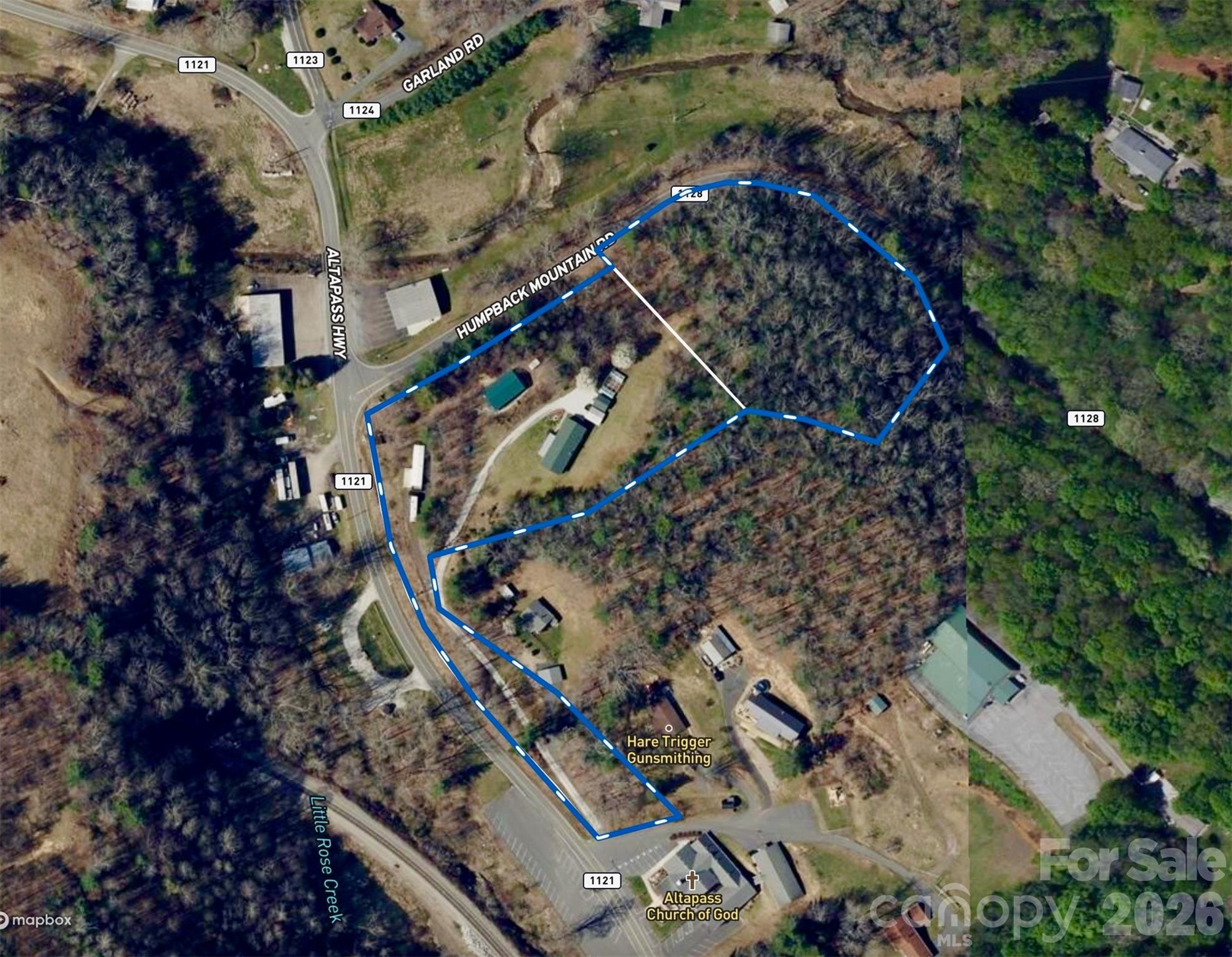 3 Altapass Trail — Spruce Pine