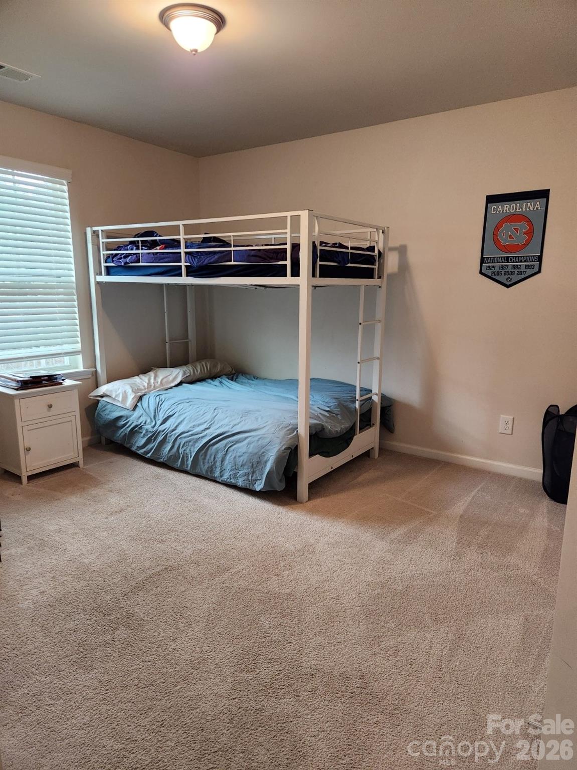 16819 Cozy Cove Road — Charlotte