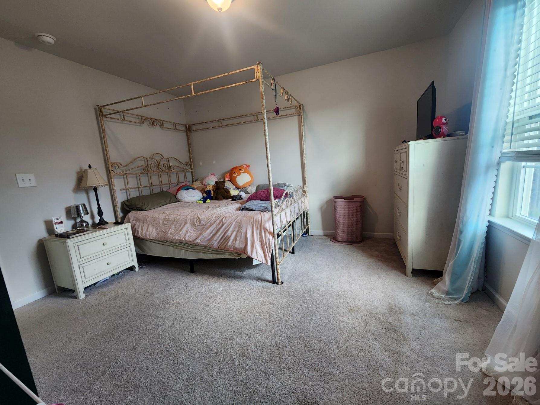 16819 Cozy Cove Road — Charlotte