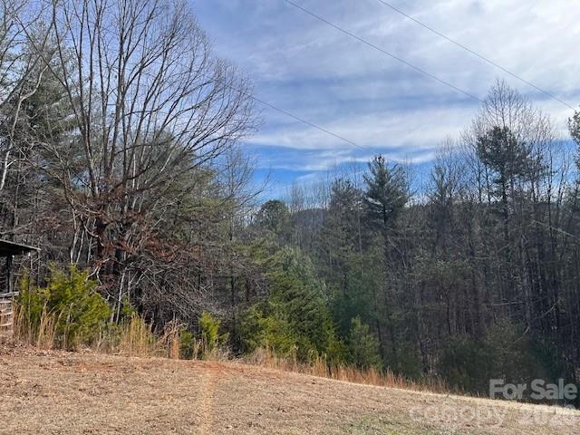 3645 Blue Door School Road — Lenoir