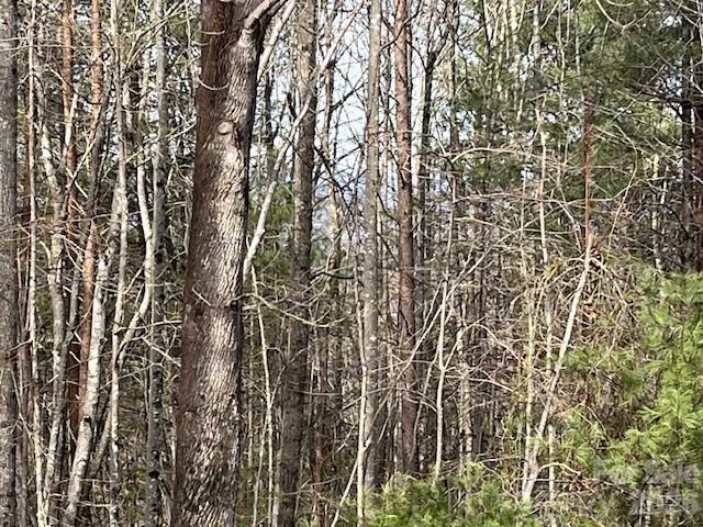 3645 Blue Door School Road — Lenoir