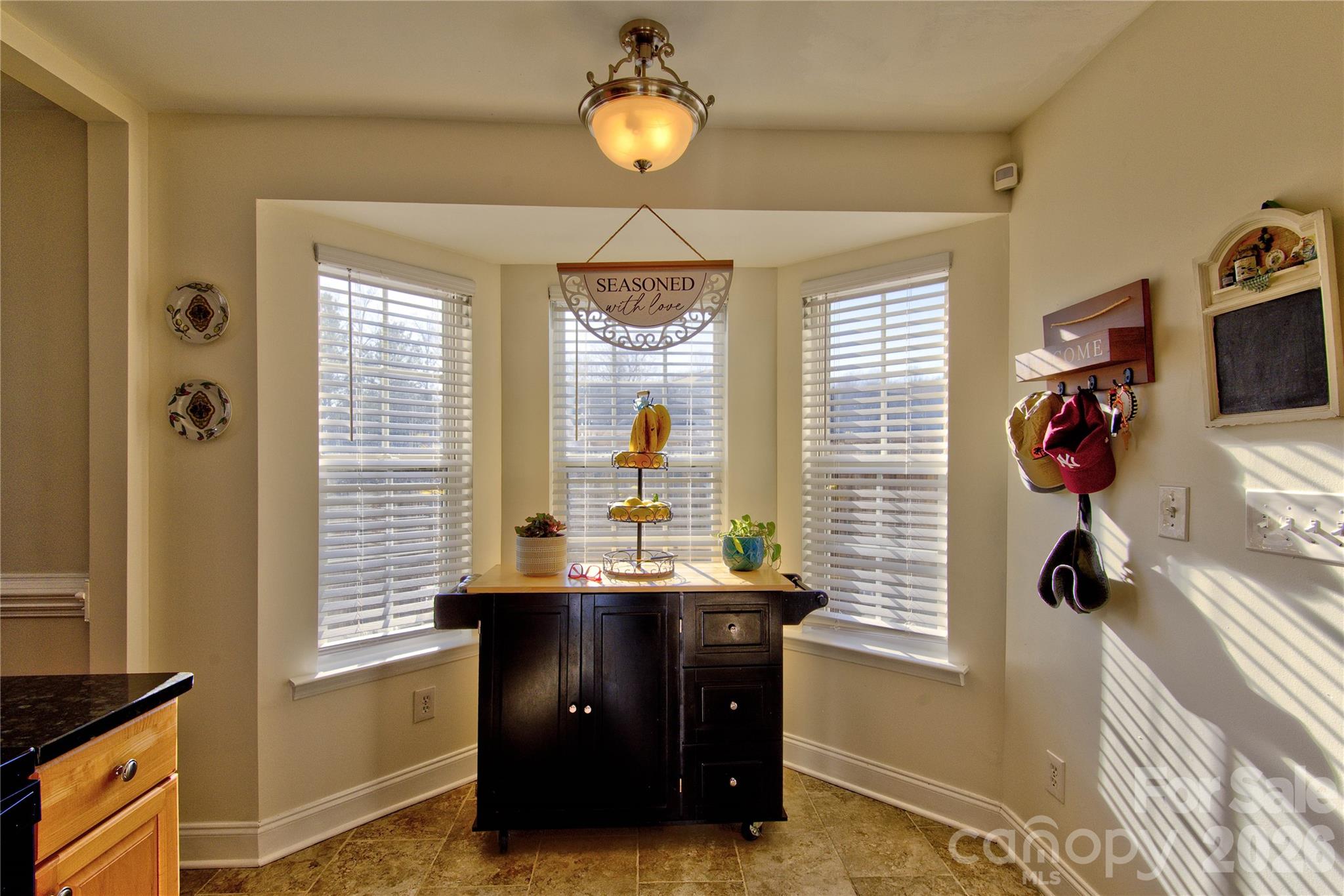 115 Park Vista Drive — Troutman