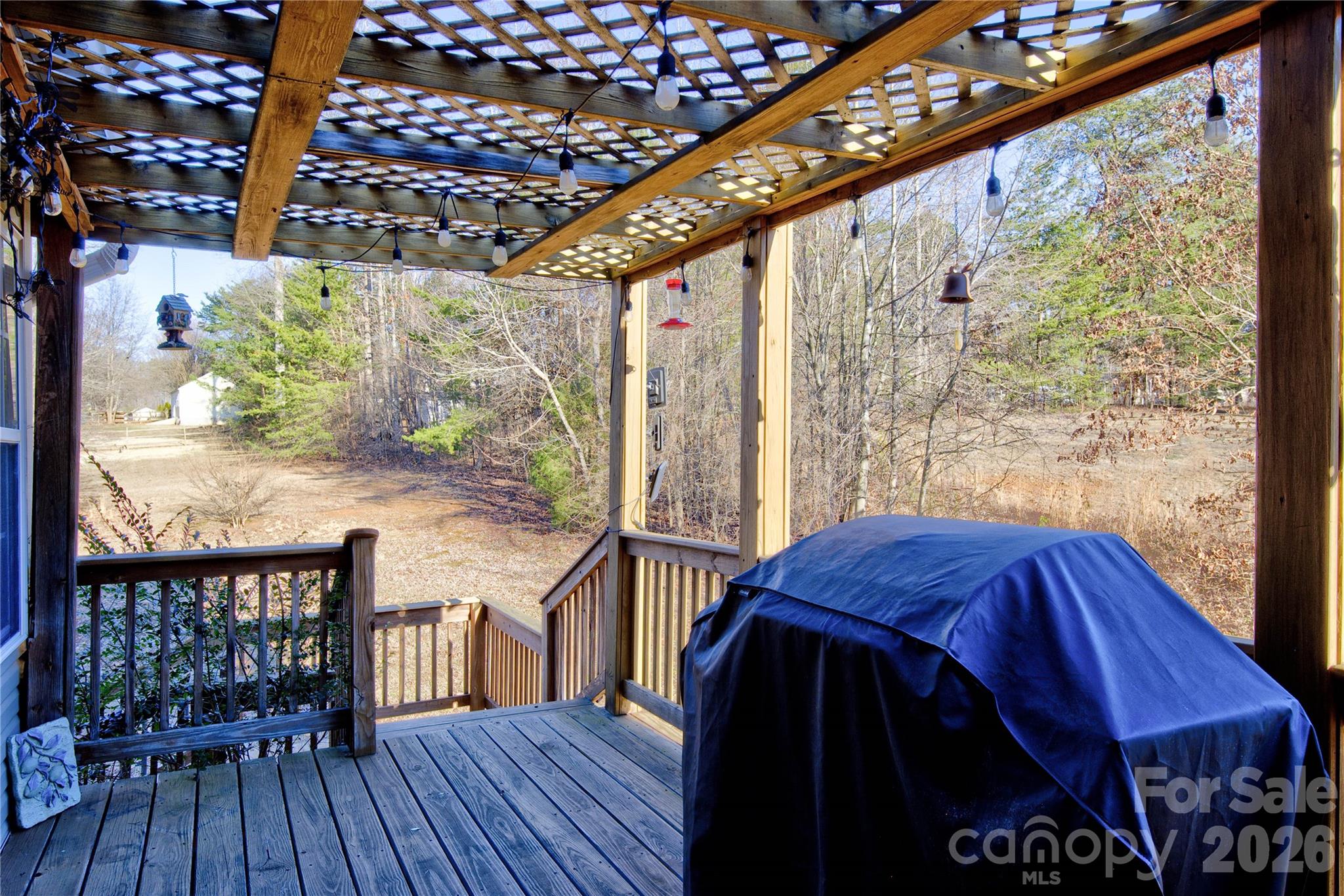115 Park Vista Drive — Troutman