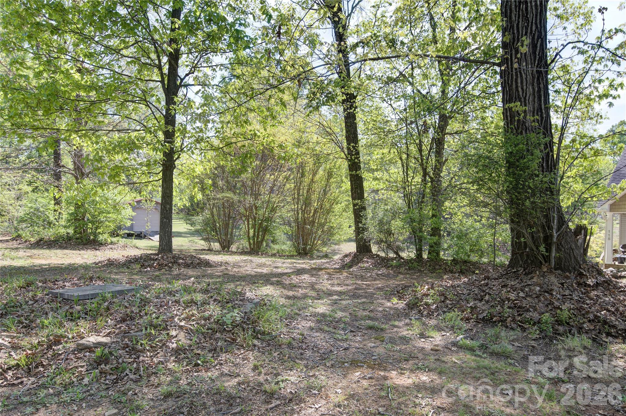 115 Park Vista Drive — Troutman