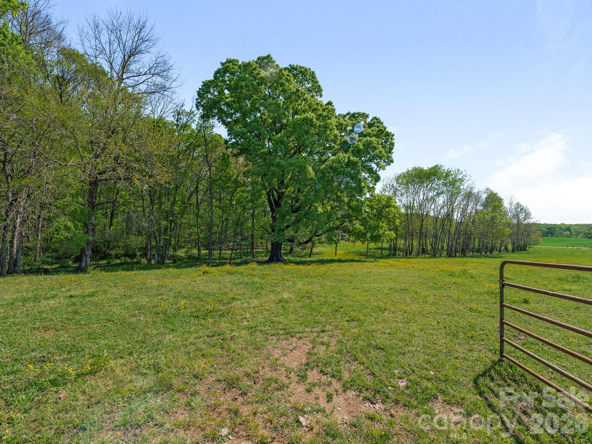 16160 Hopewell Church Road — Midland