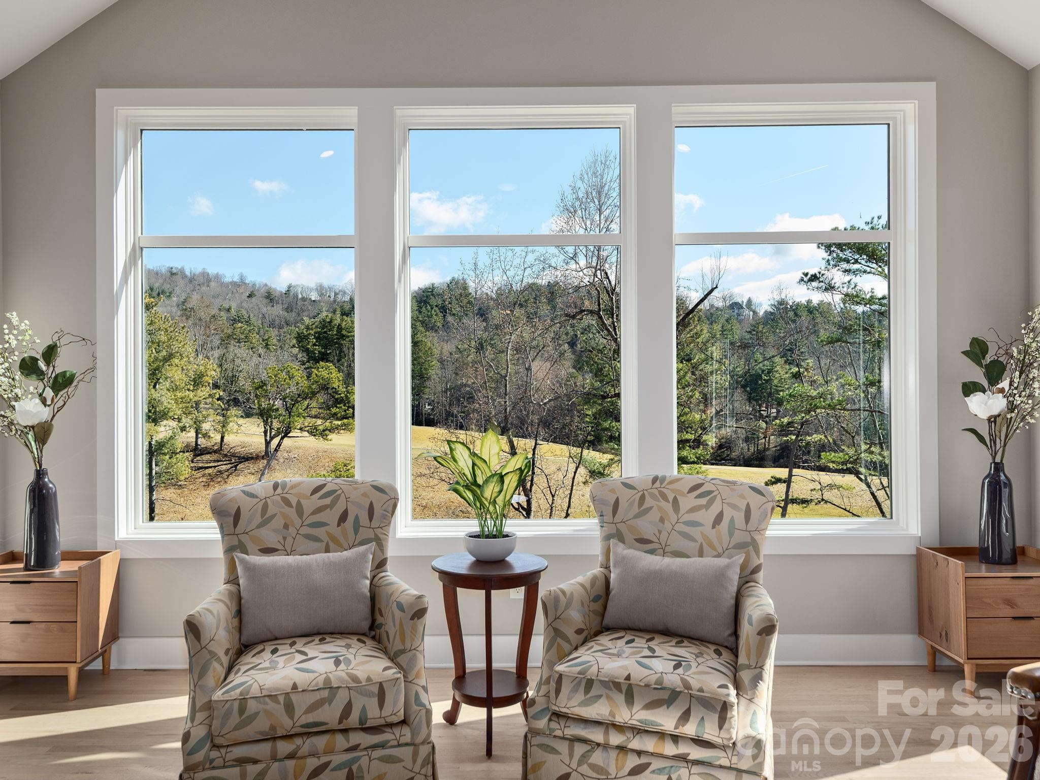 41 Robinhood Road — Asheville