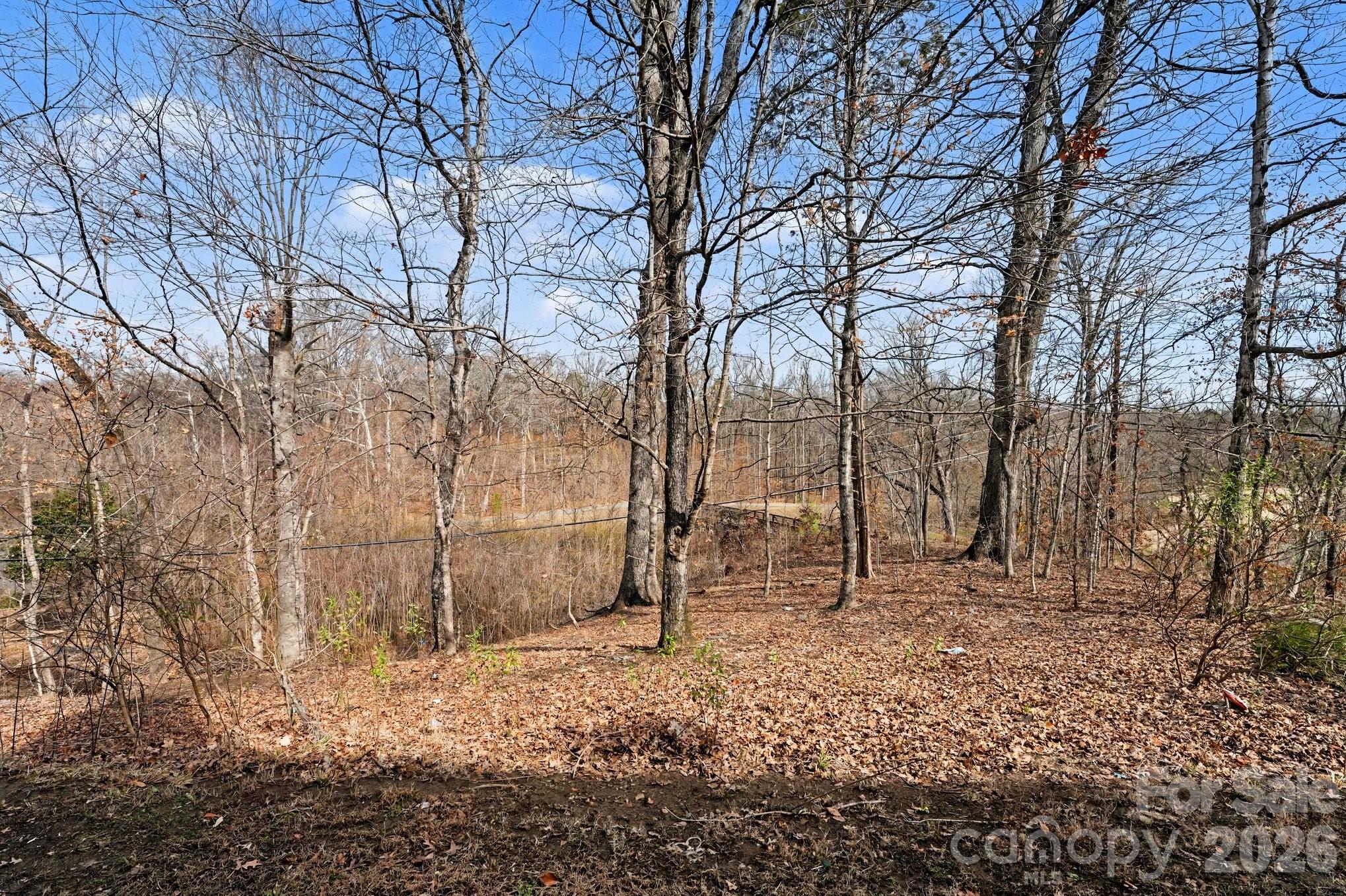 758 Mountainwater Drive — Charlotte