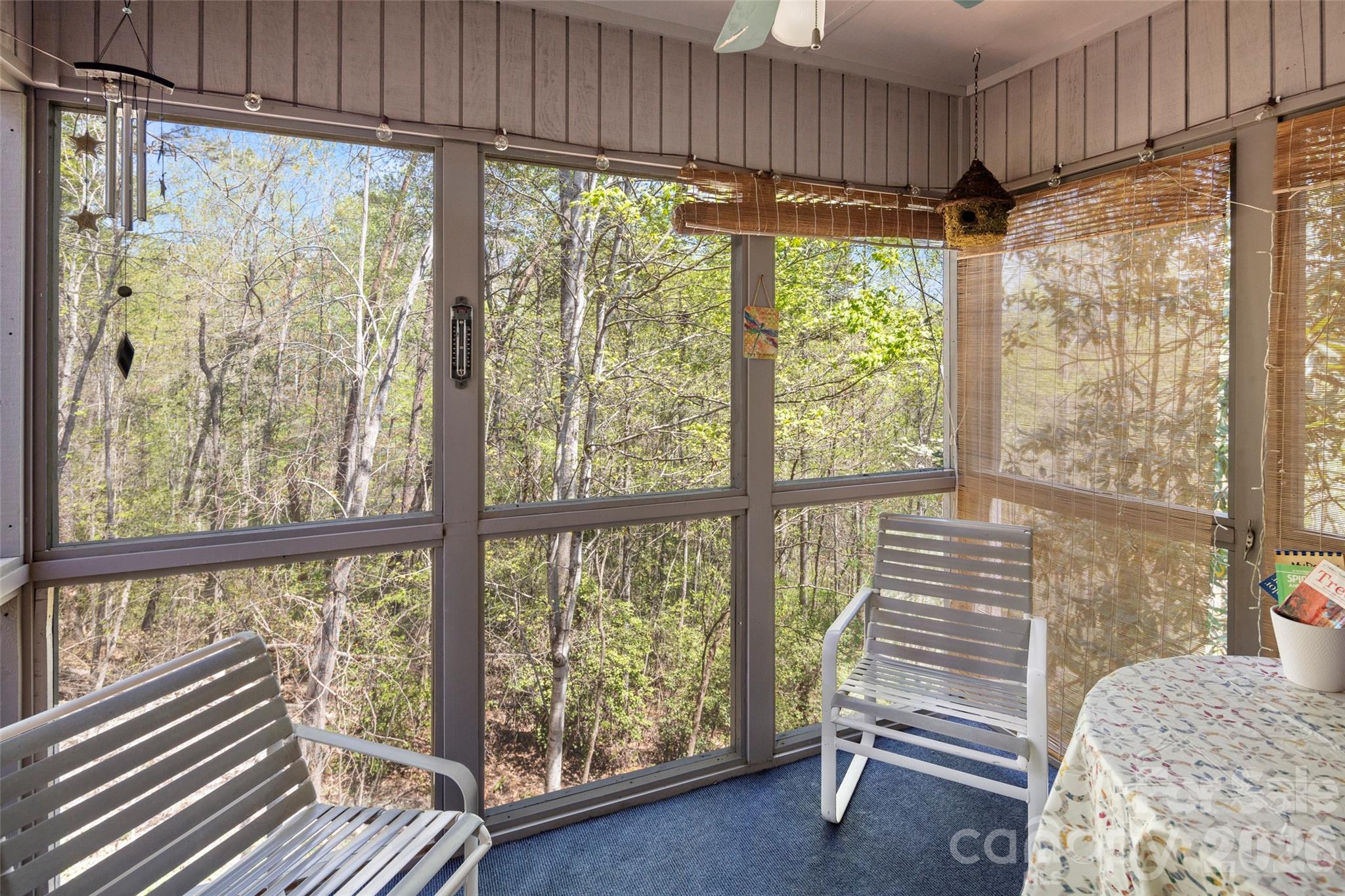 119 Rome Court — Lake Lure