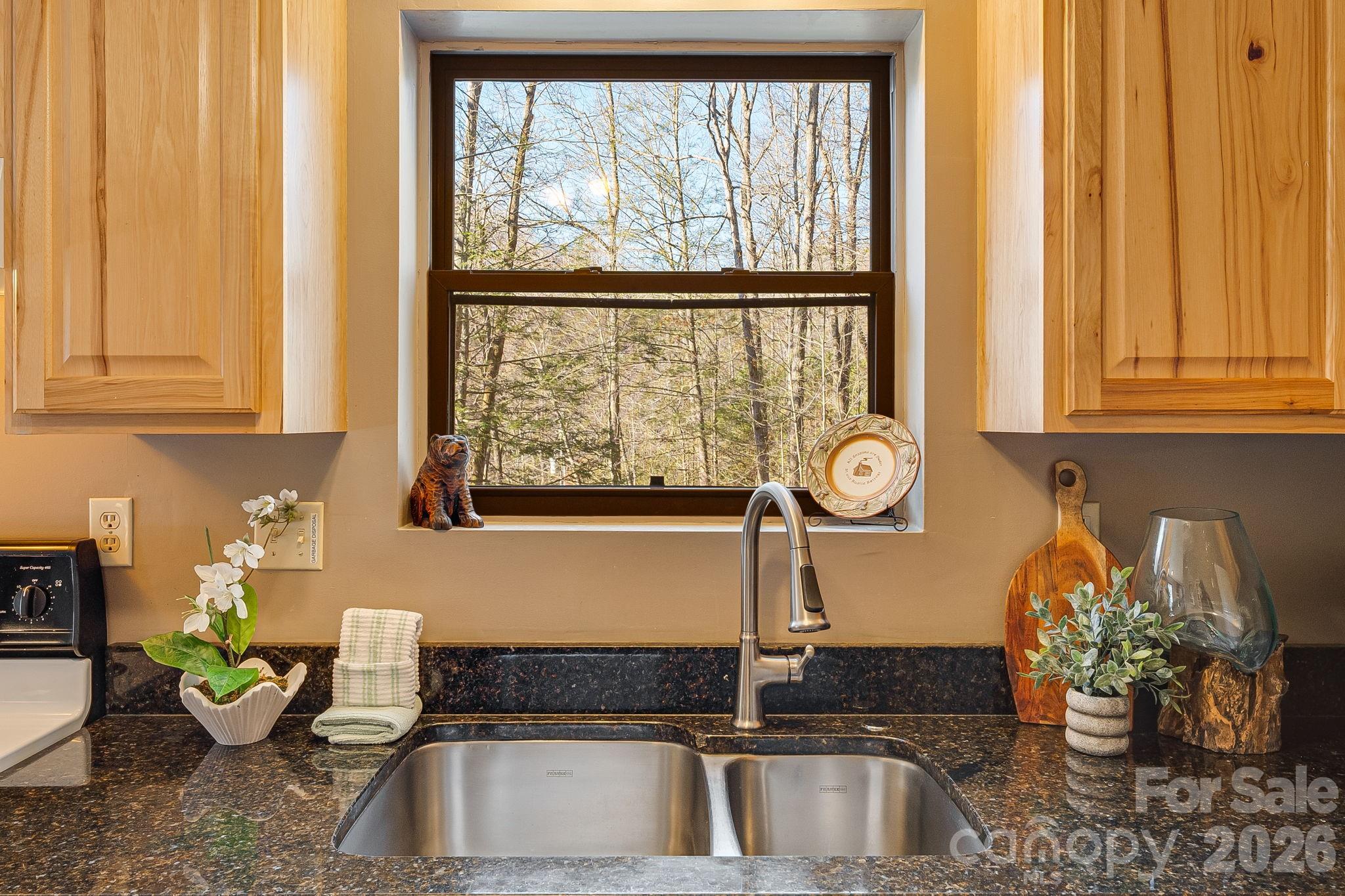 41 Gold Anchor Lane — Black Mountain