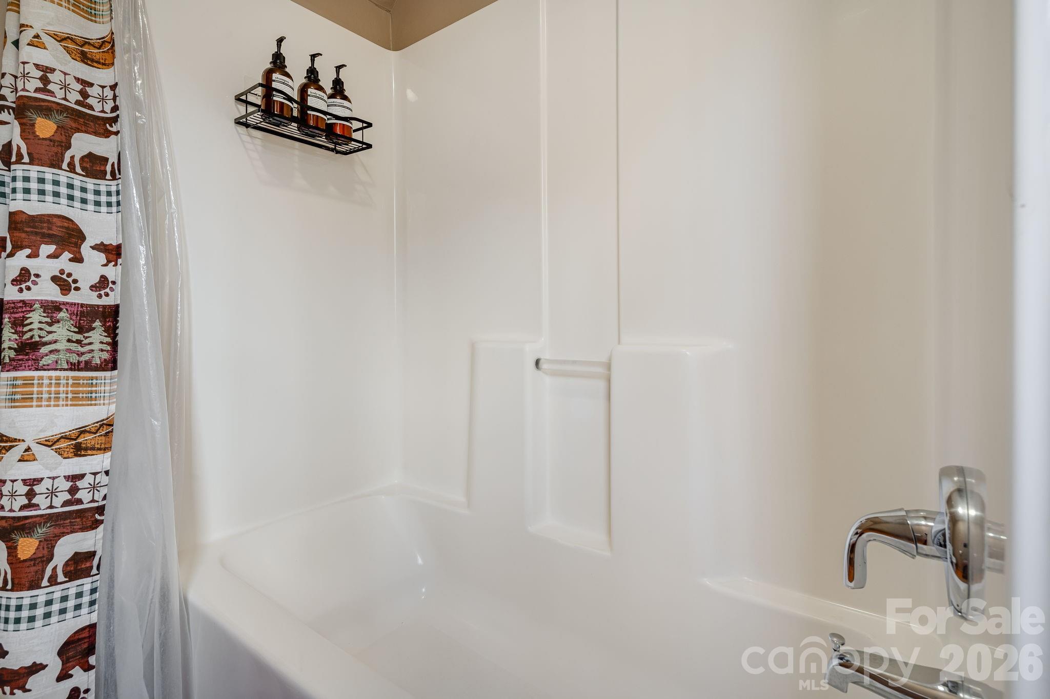 41 Gold Anchor Lane — Black Mountain