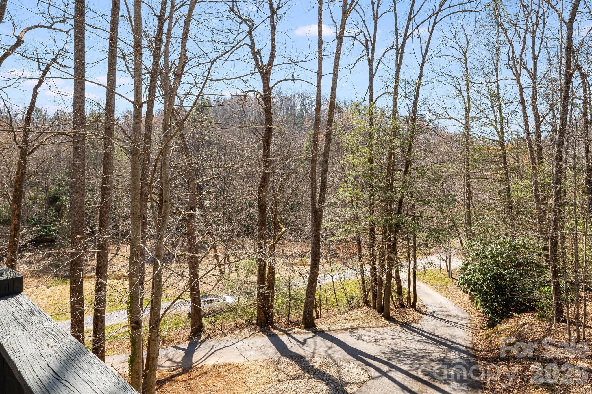 41 Gold Anchor Lane — Black Mountain