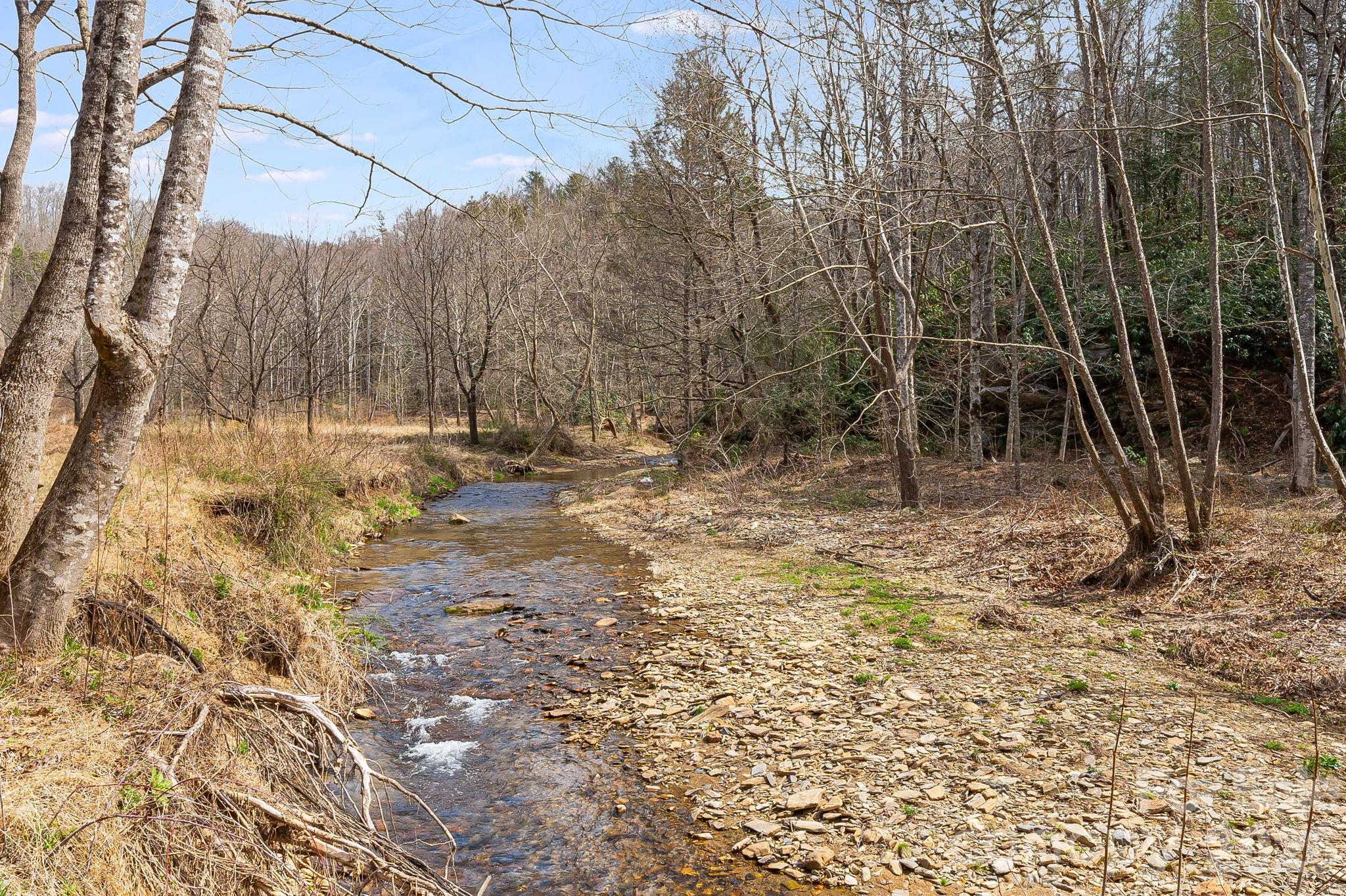 41 Gold Anchor Lane — Black Mountain