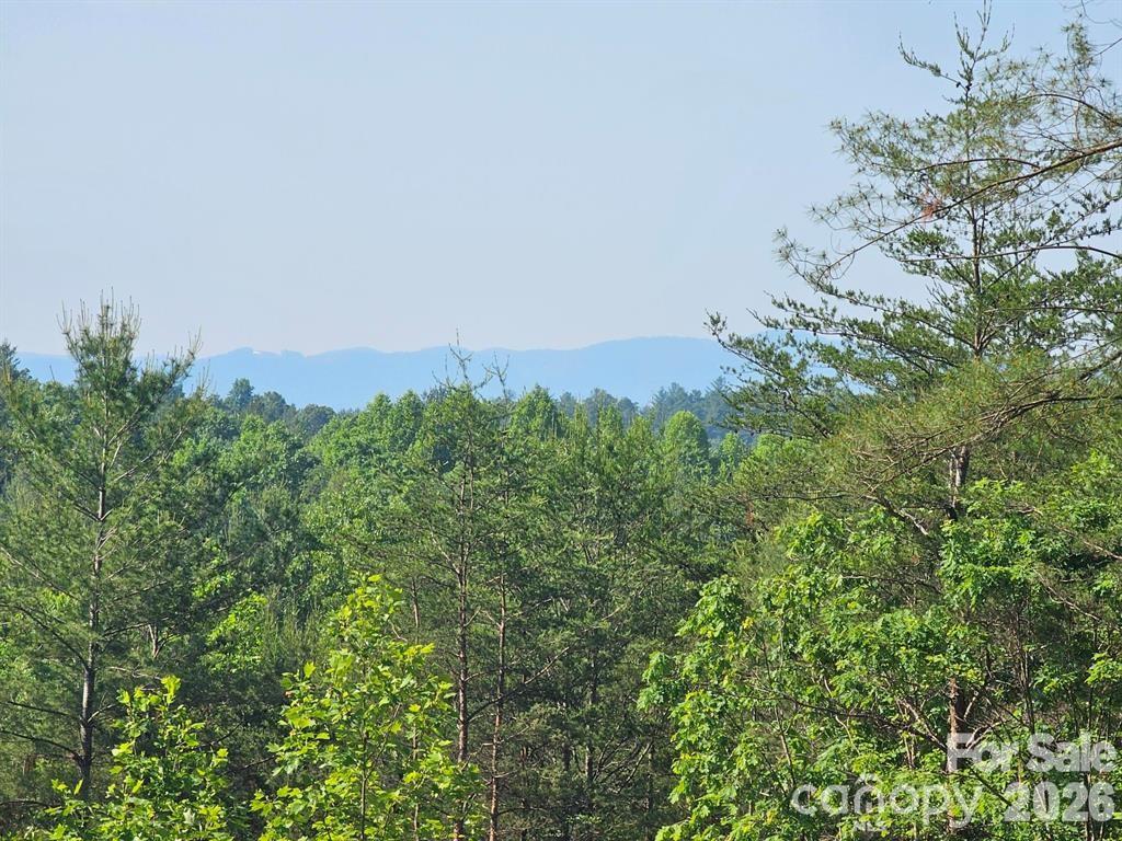 2127 Robert Drive #19  20 — Morganton