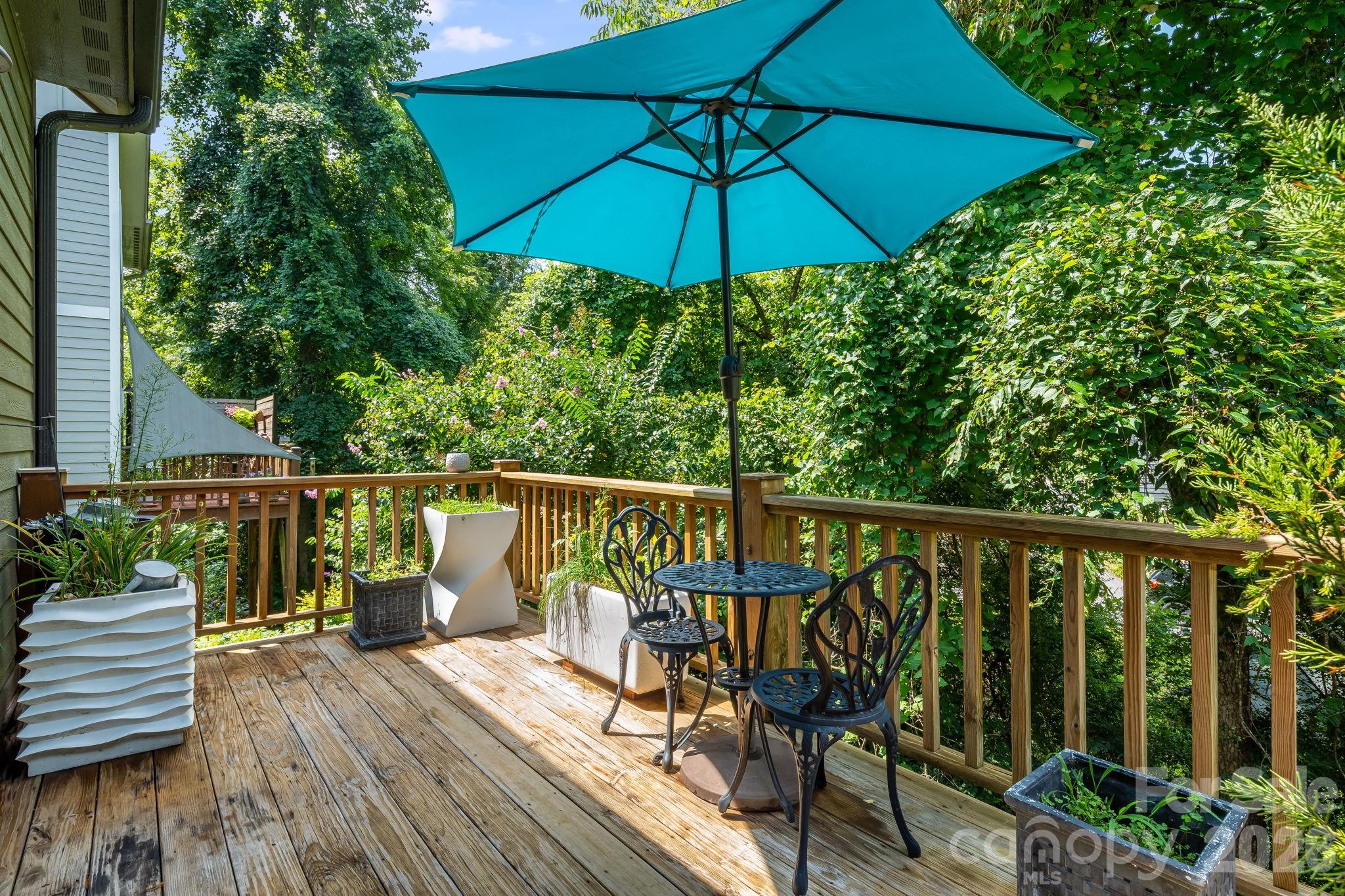 35 Emmett Lane — Asheville