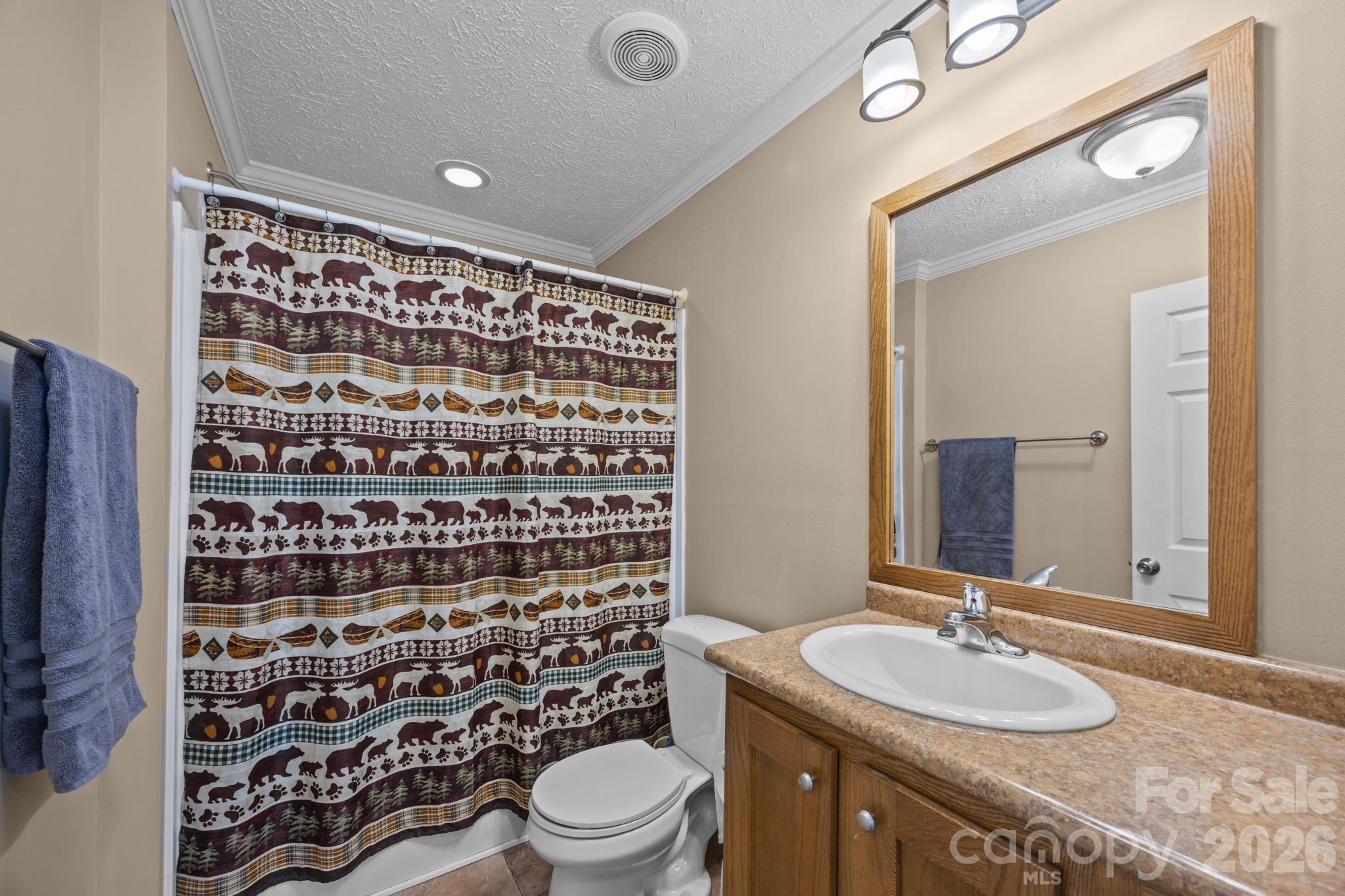 193 Tipstill Cove — Waynesville