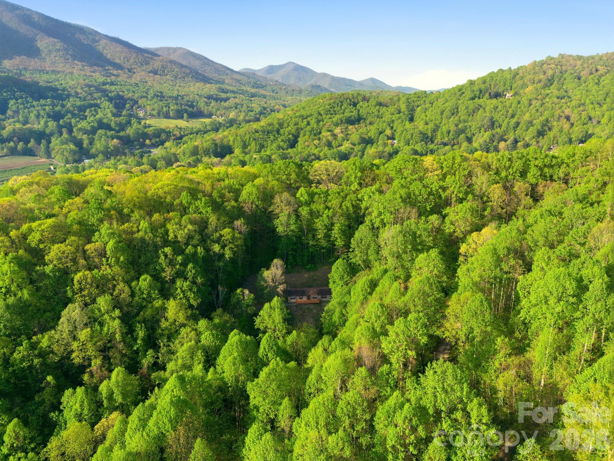 193 Tipstill Cove — Waynesville