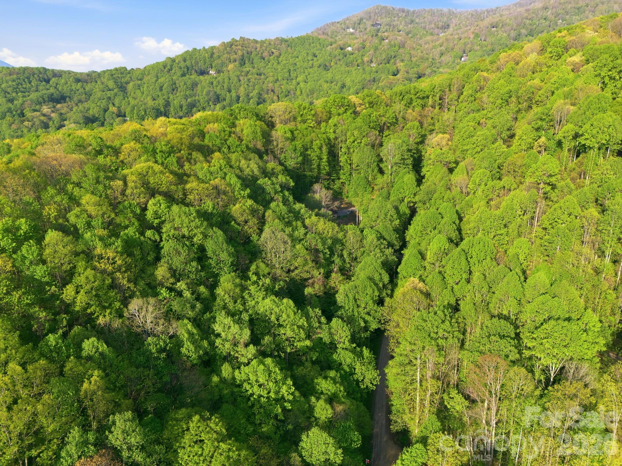 193 Tipstill Cove — Waynesville