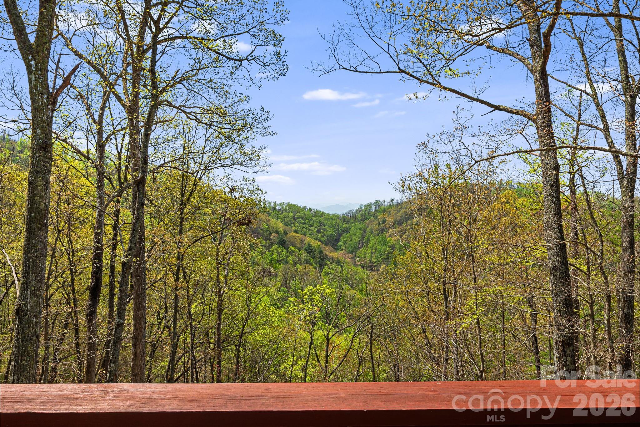 120 Wilderness Drive — Weaverville
