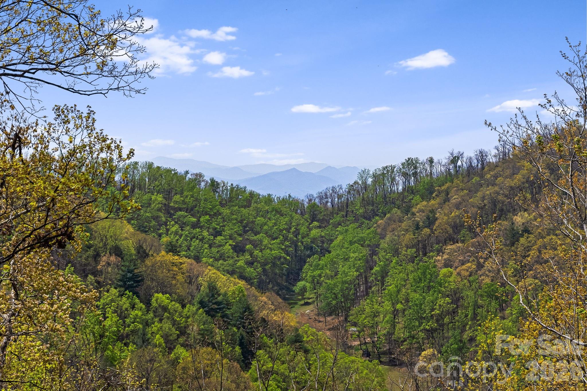 120 Wilderness Drive — Weaverville