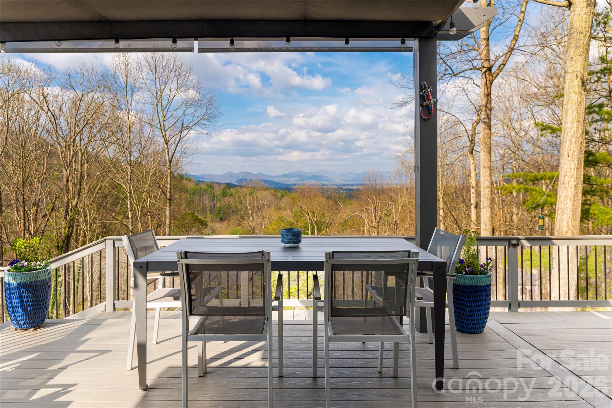168 Skyview Circle — Asheville