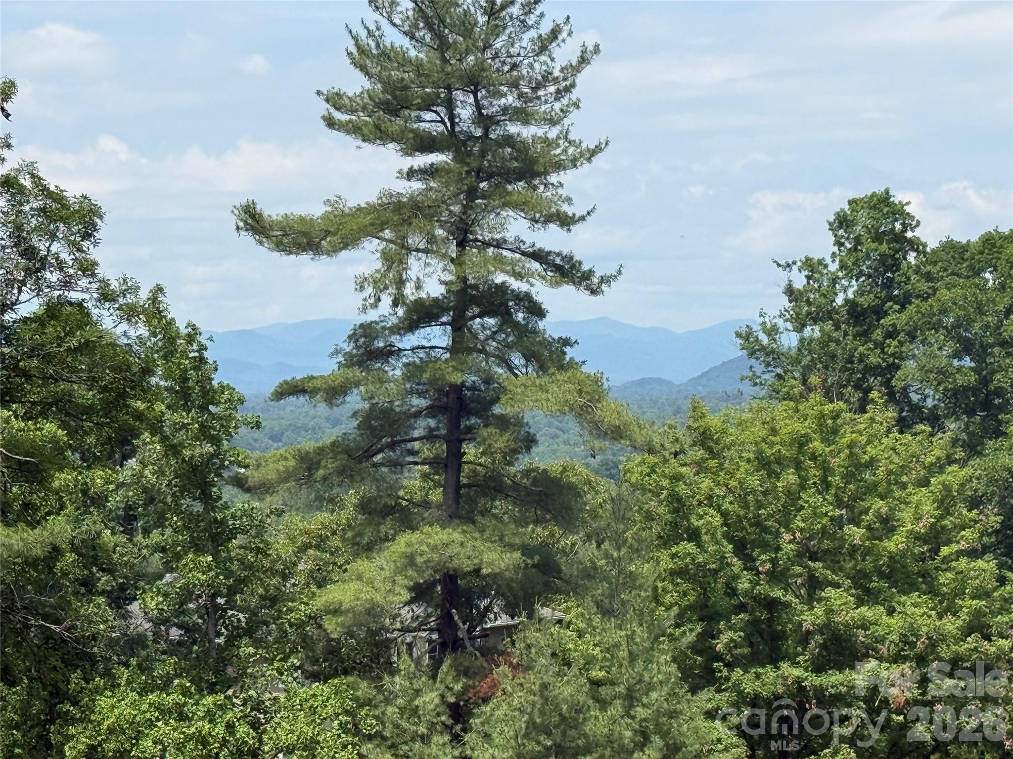 44 Leisure Mountain Road — Asheville