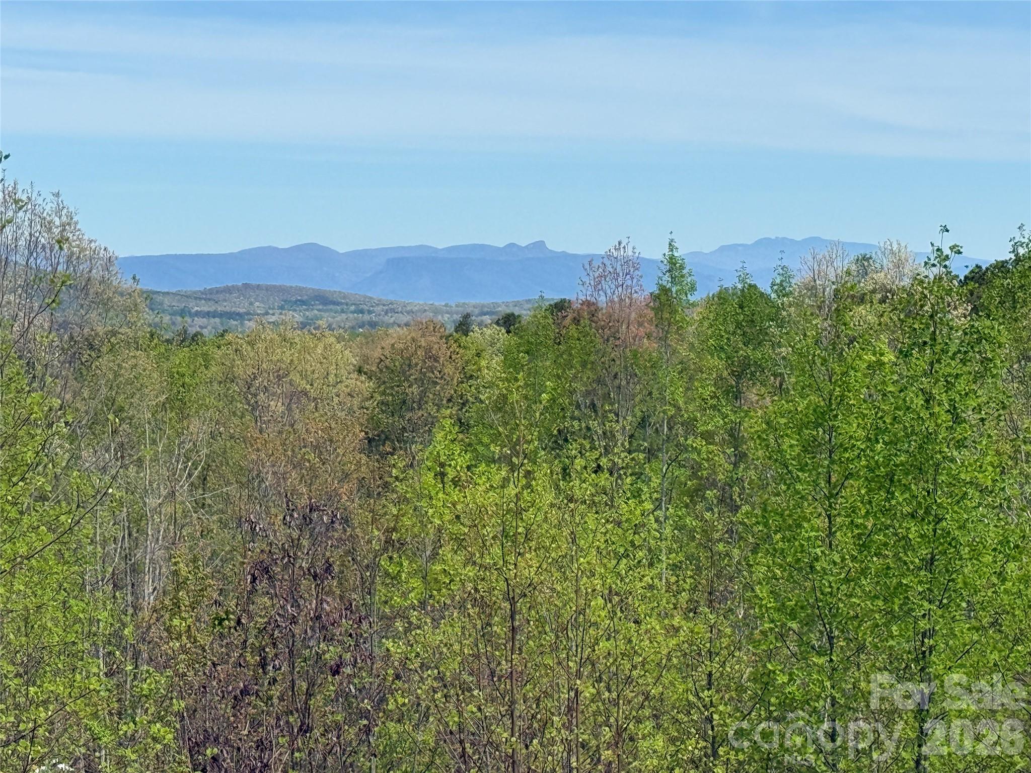 338 Lakeview Trail — Nebo