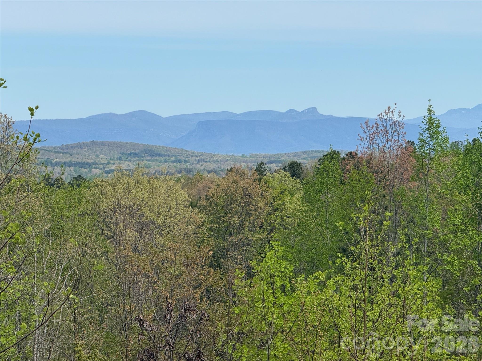 338 Lakeview Trail — Nebo