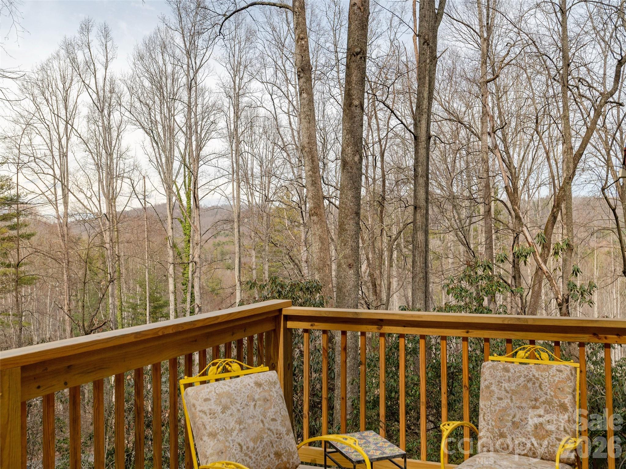 227 Sky Lake Drive — Hendersonville