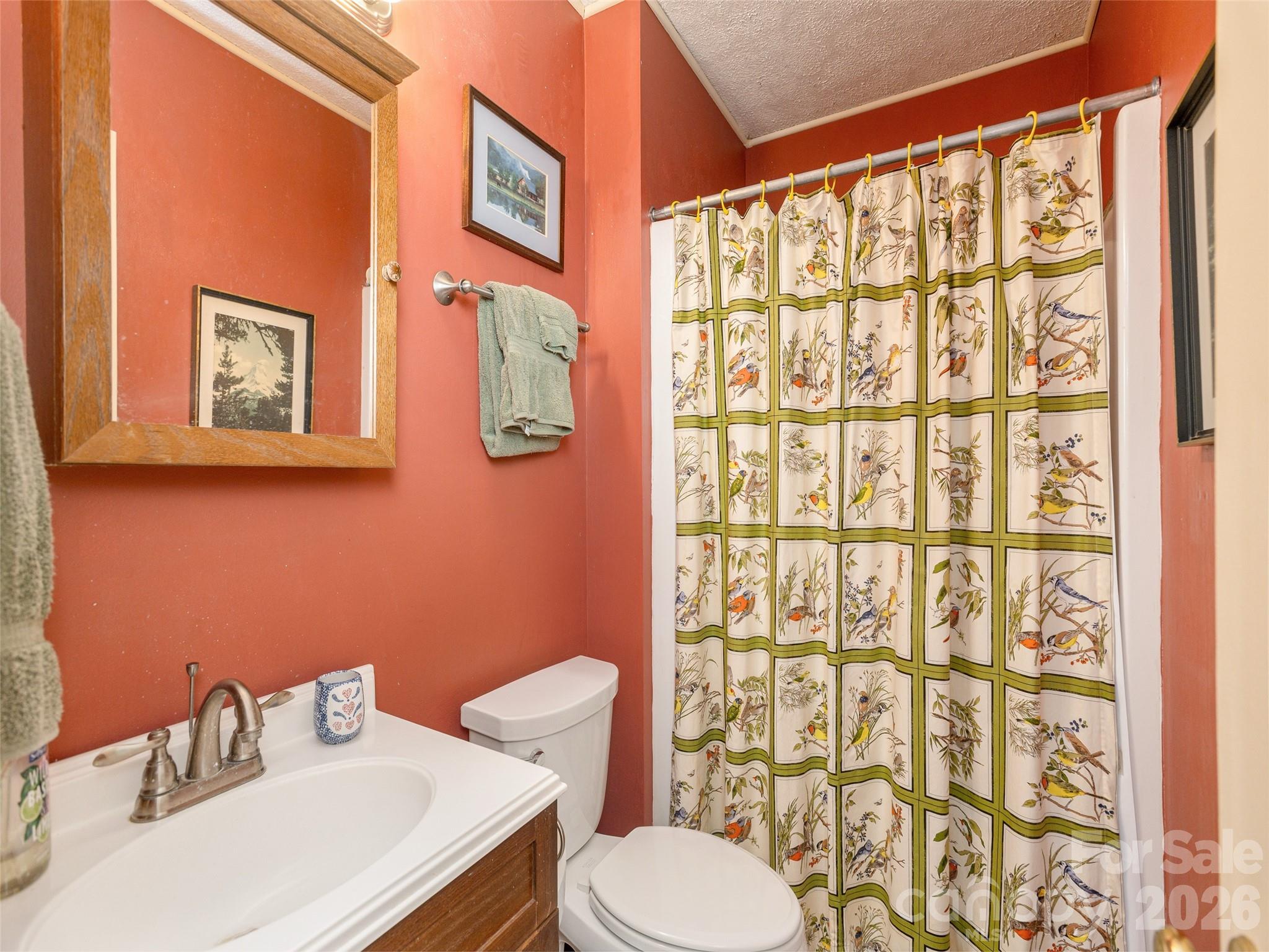 227 Sky Lake Drive — Hendersonville